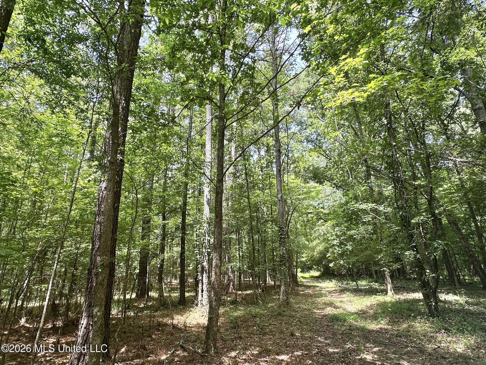 1 Highway 483 Property Photo 6