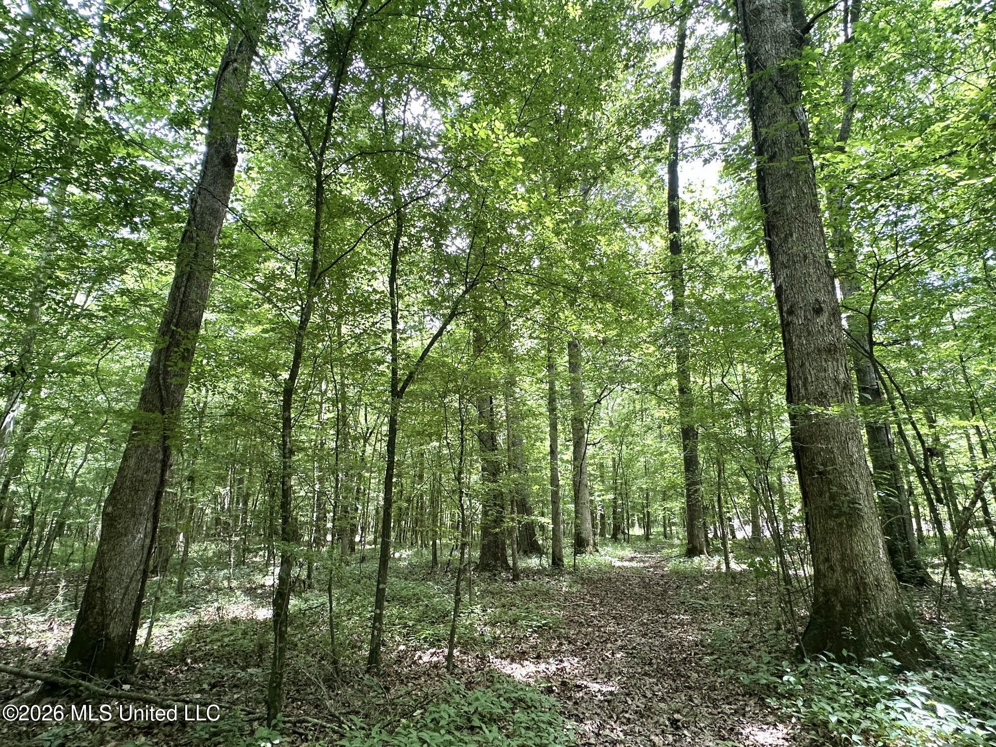 1 Highway 483 Property Photo 7