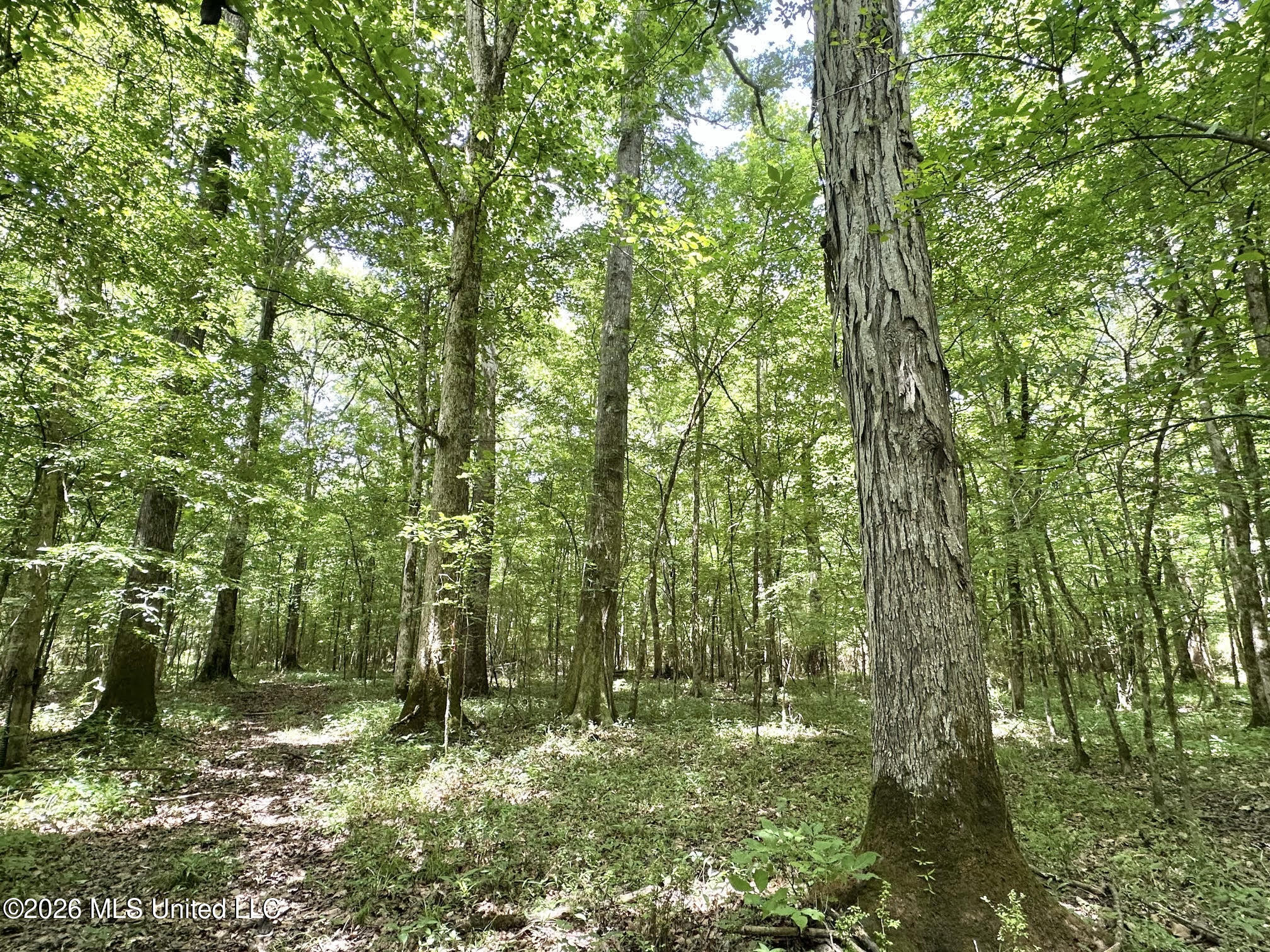 1 Highway 483 Property Photo 10