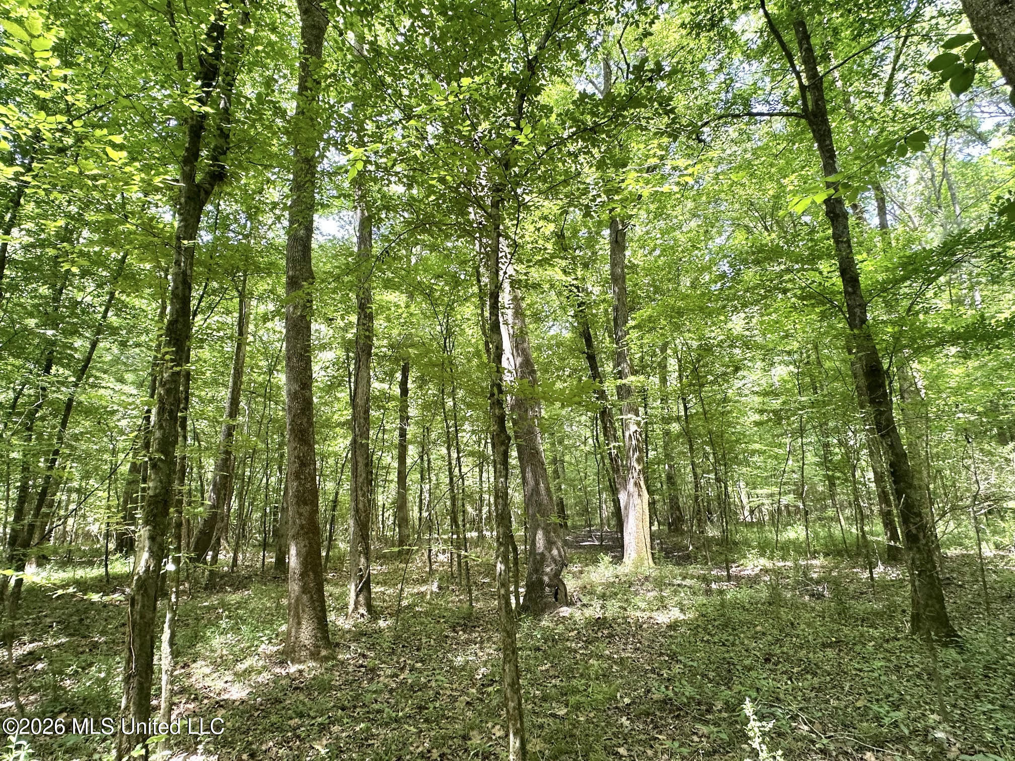 1 Highway 483 Property Photo 11