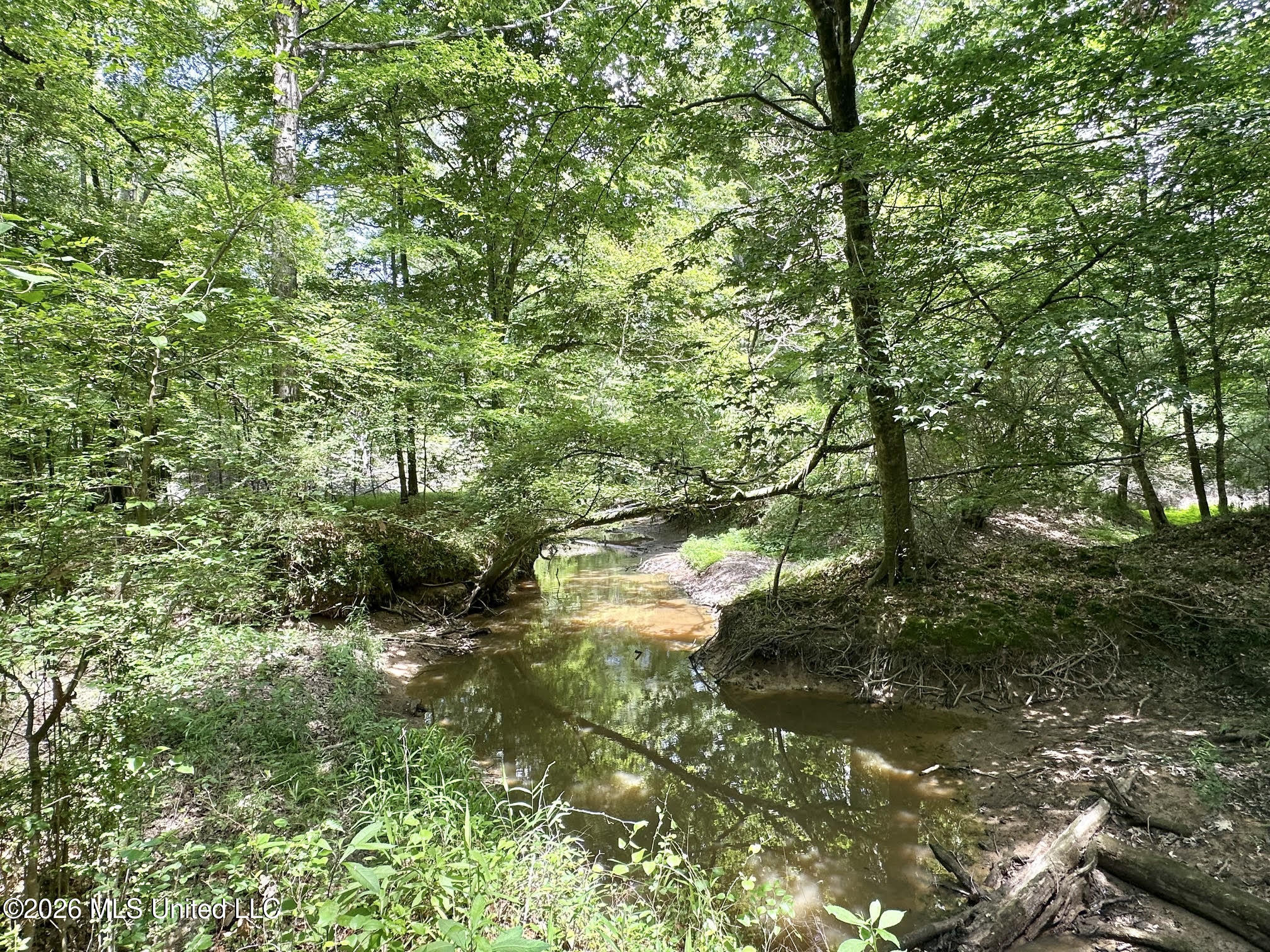 1 Highway 483 Property Photo 12