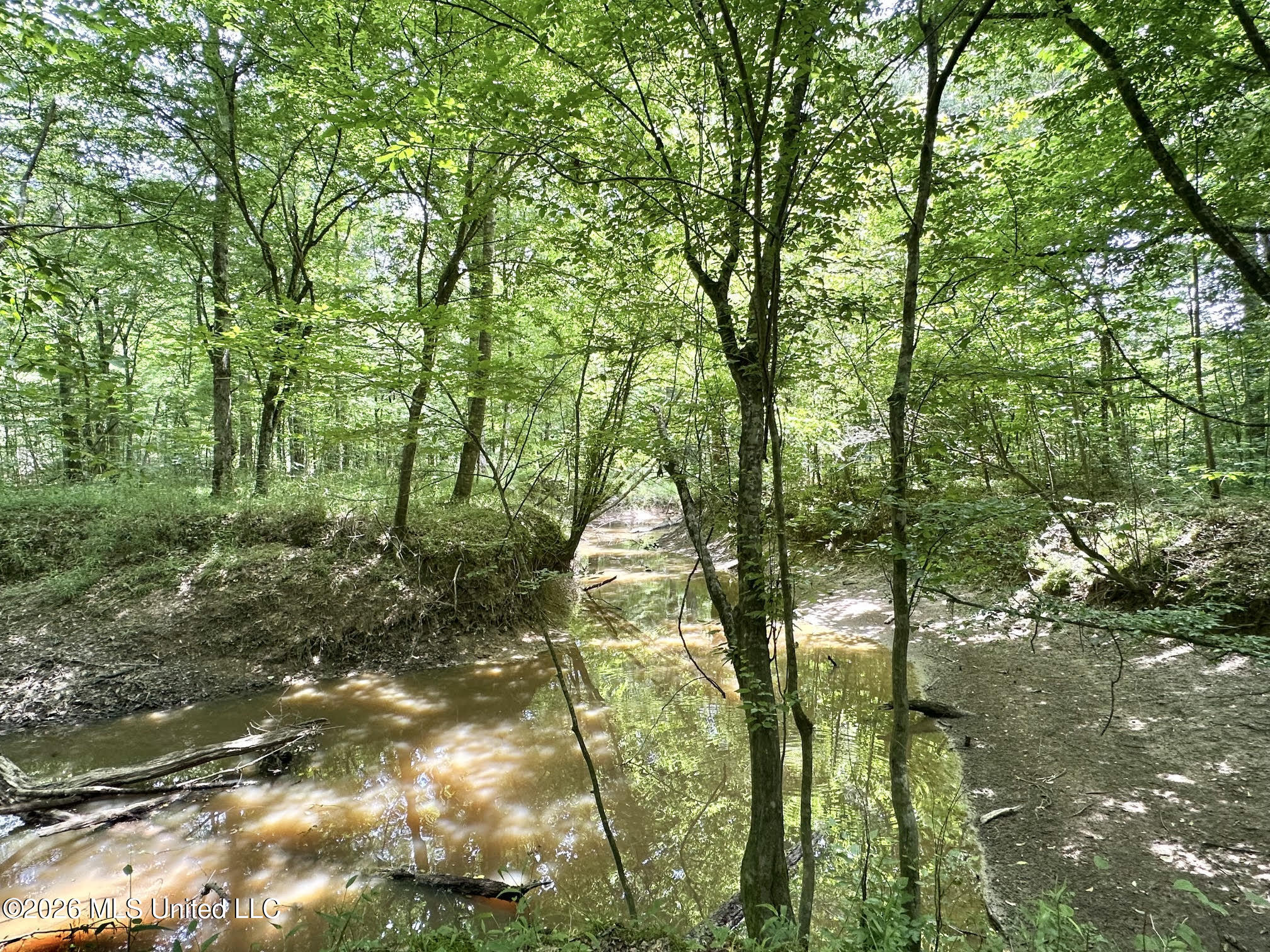 1 Highway 483 Property Photo 13