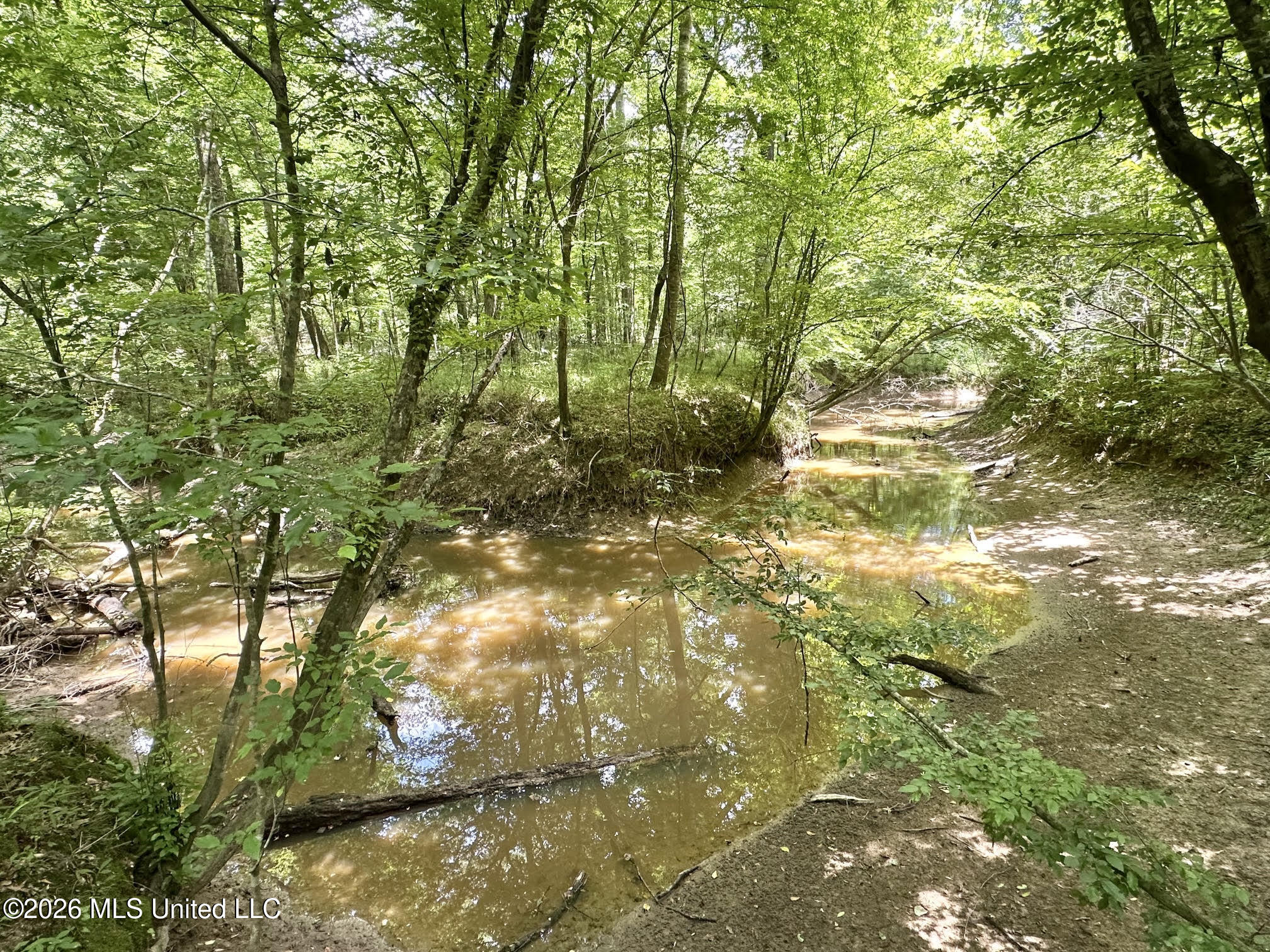 1 Highway 483 Property Photo 14
