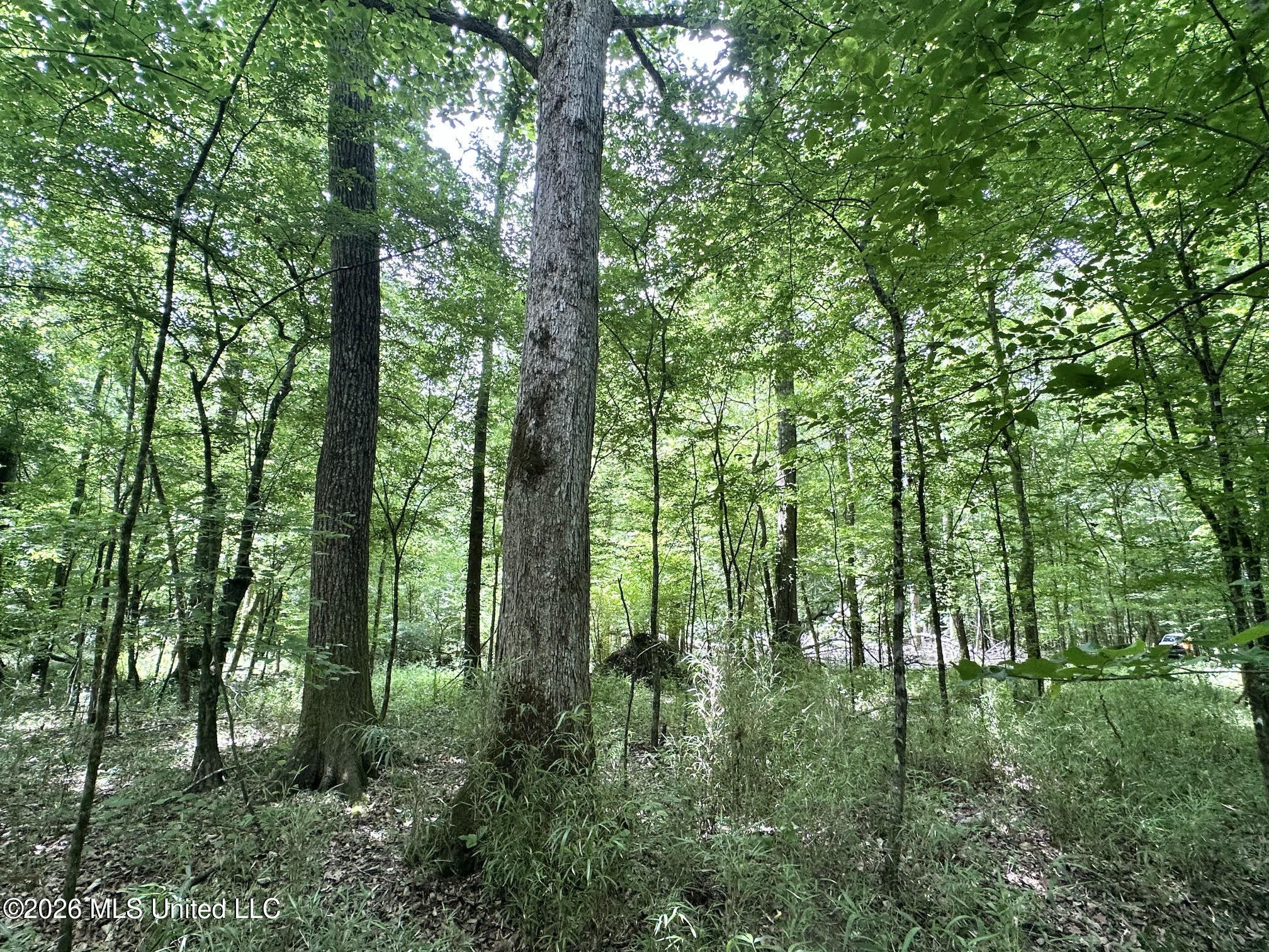 1 Highway 483 Property Photo 15
