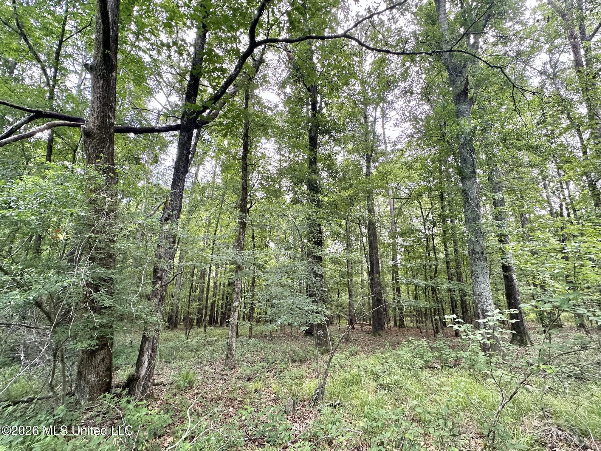 1 Highway 483 Property Photo 17