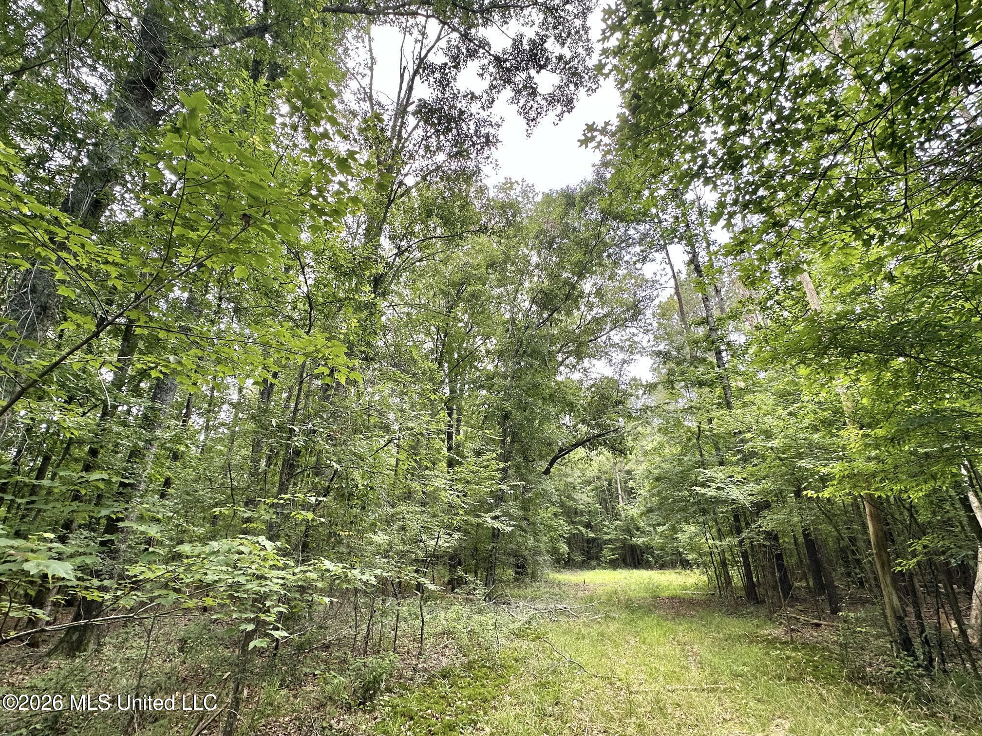 1 Highway 483 Property Photo 18