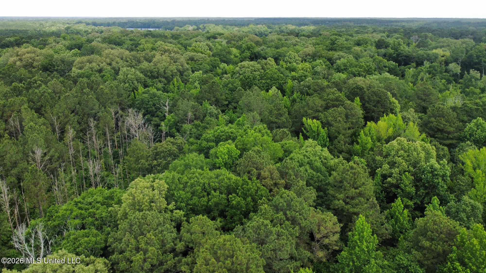 1 Highway 483 Property Photo 19