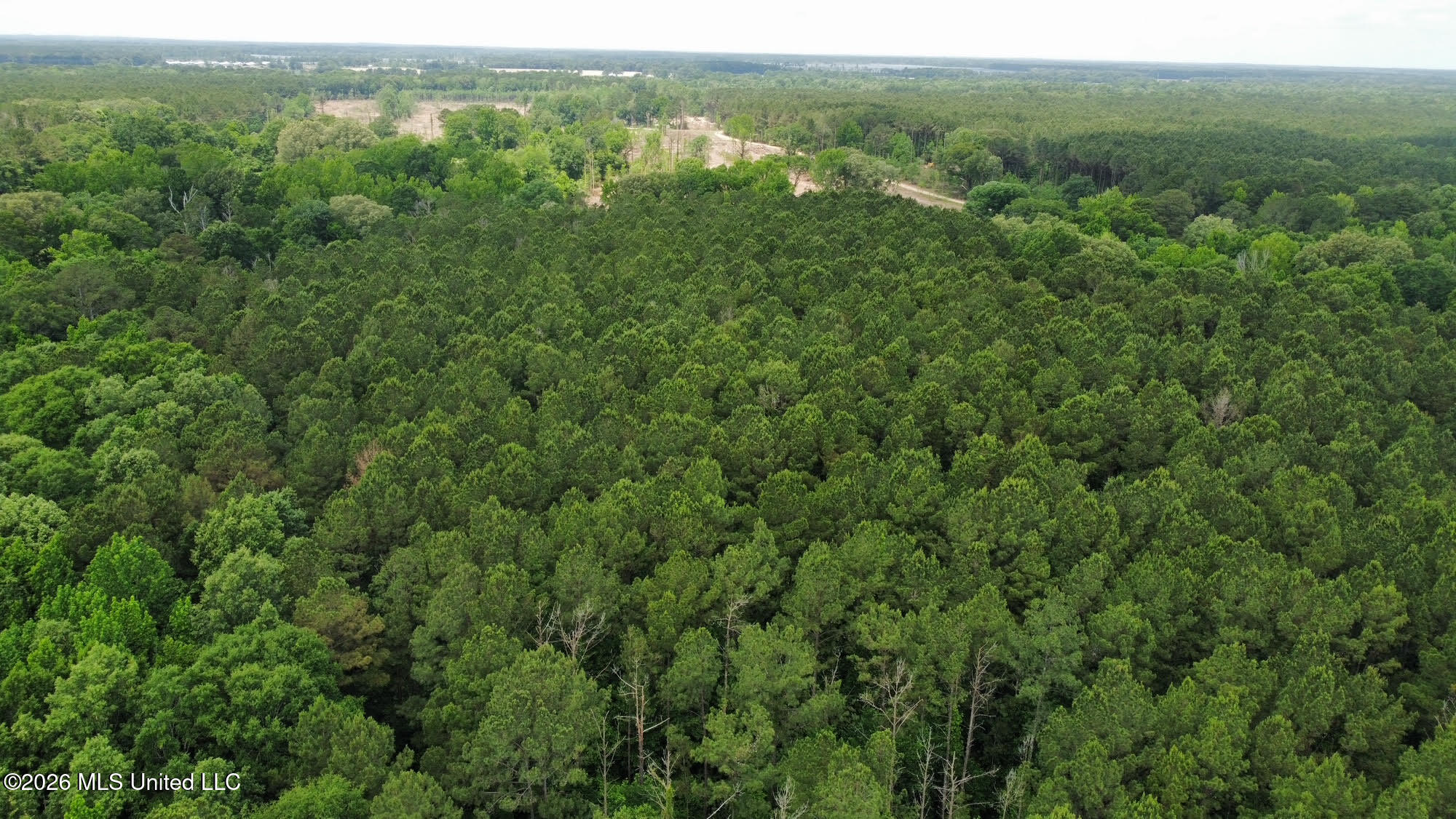 1 Highway 483 Property Photo 20