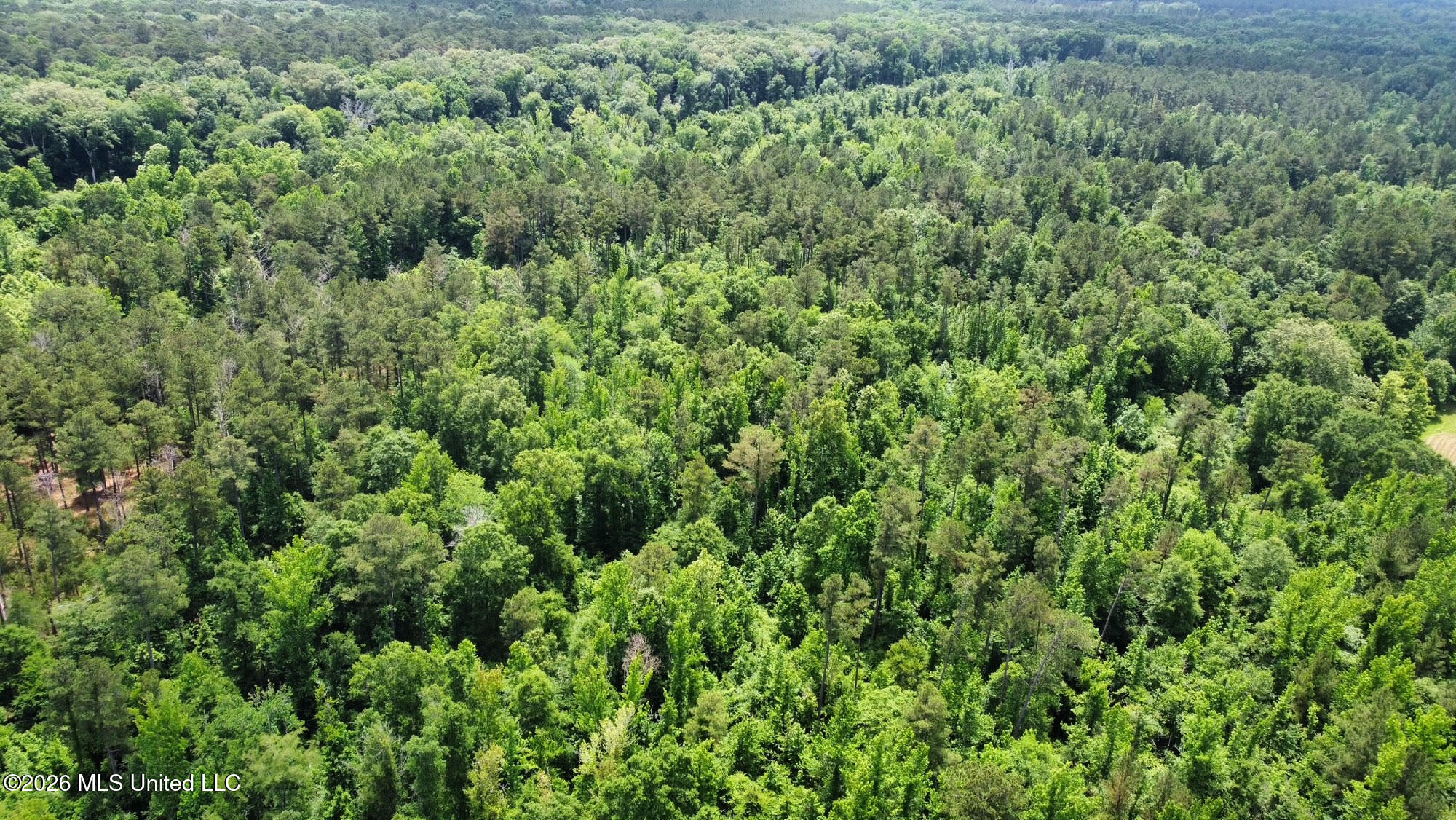 1 Highway 483 Property Photo 22