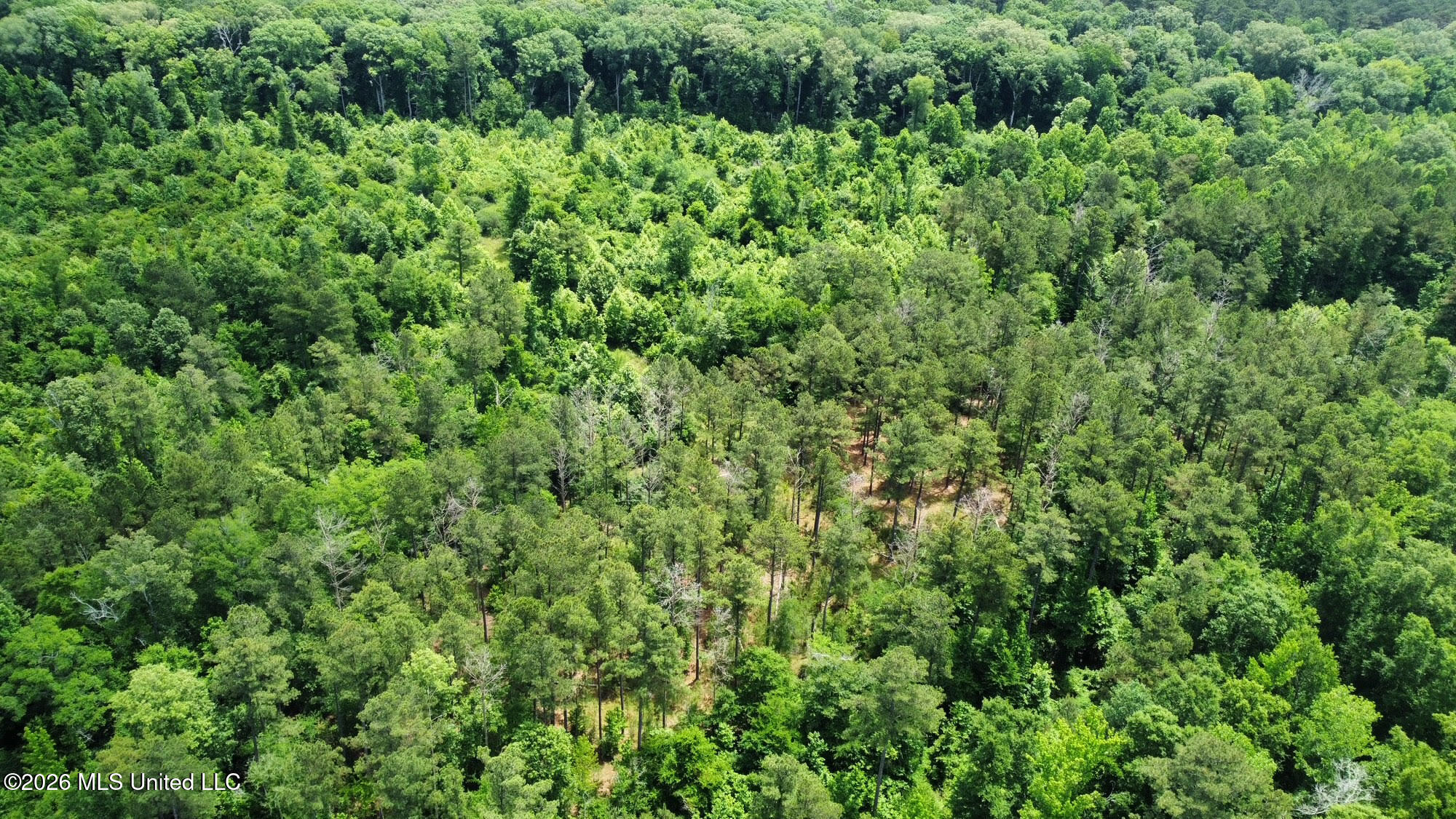 1 Highway 483 Property Photo 23