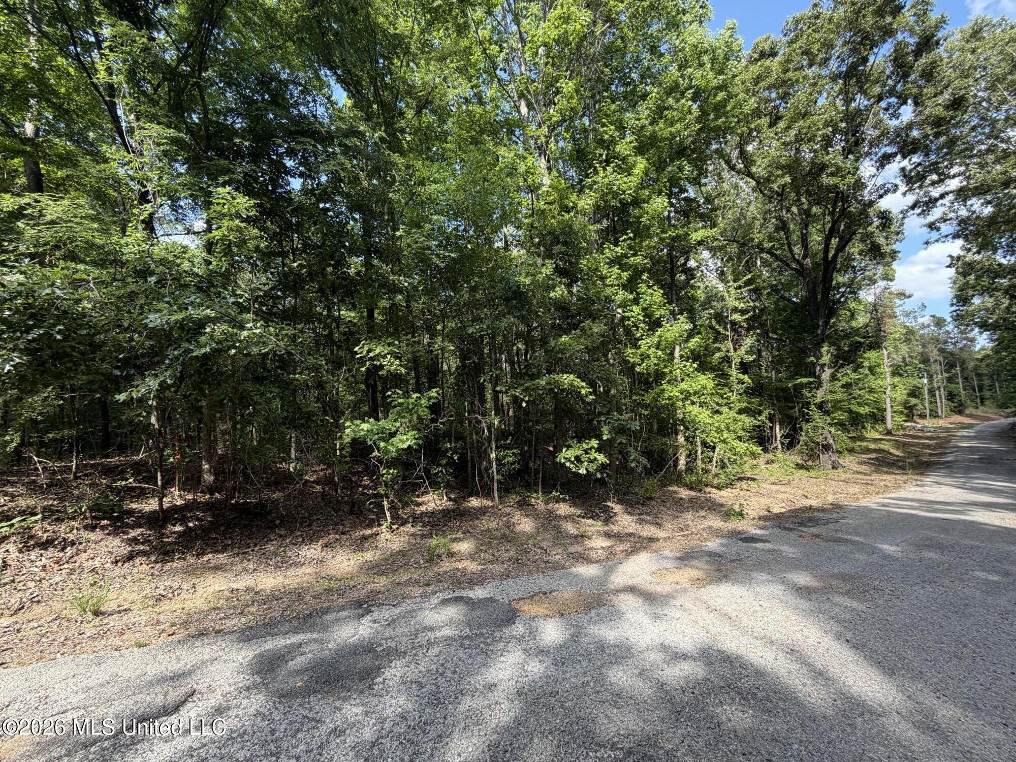 80 Co Rd 5009 Property Photo 1