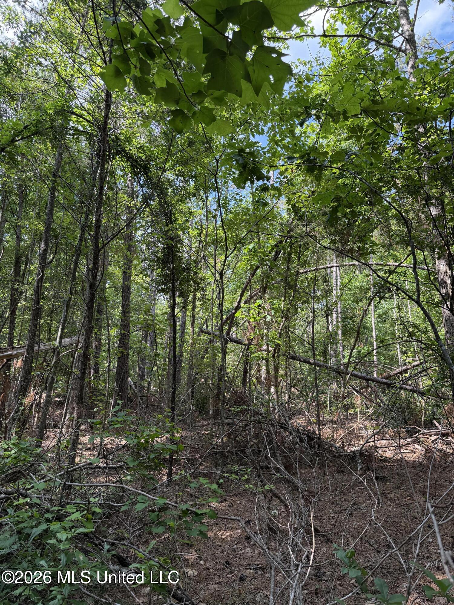 80 Co Rd 5009 Property Photo 7