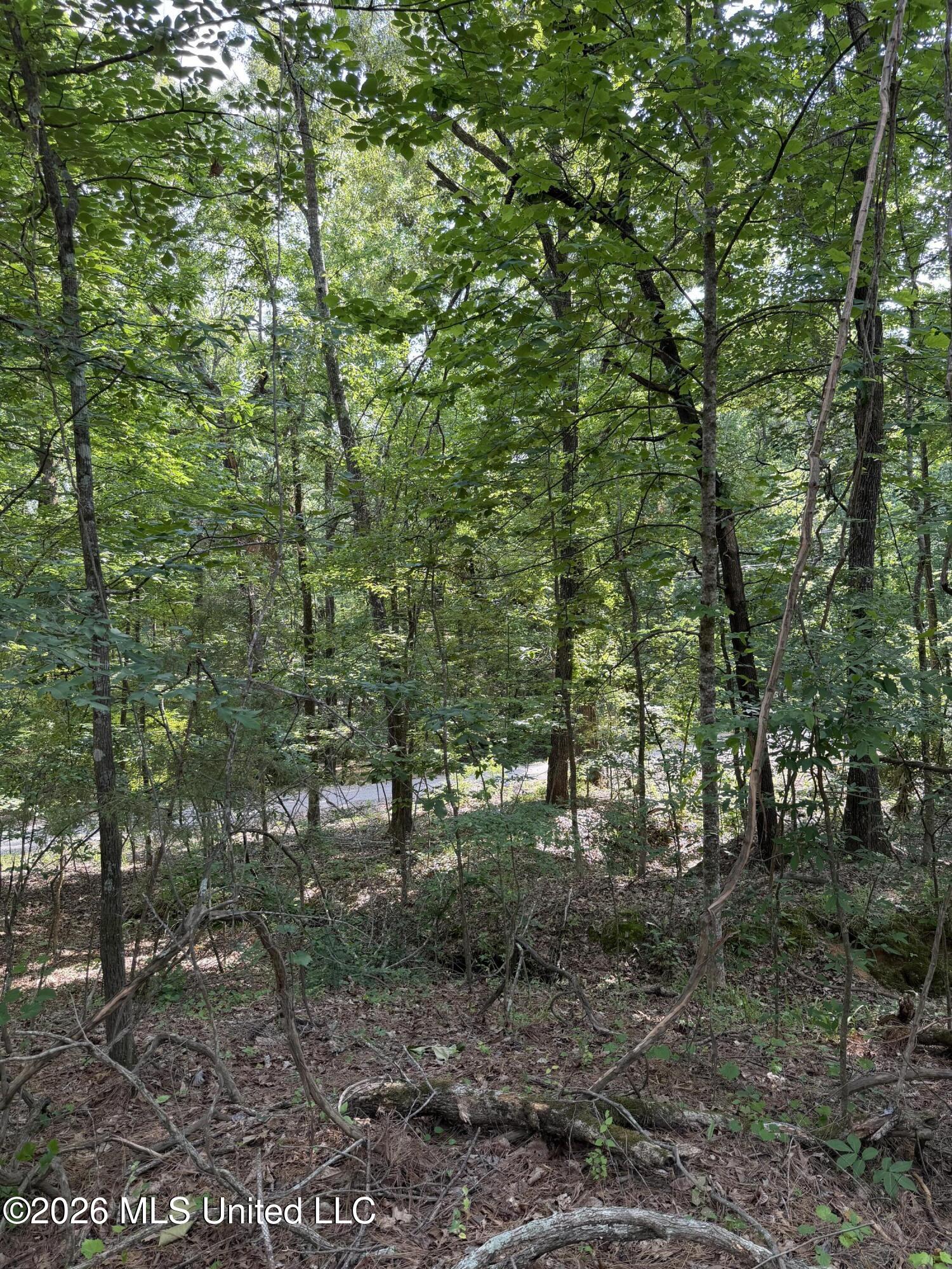 80 Co Rd 5009 Property Photo 9