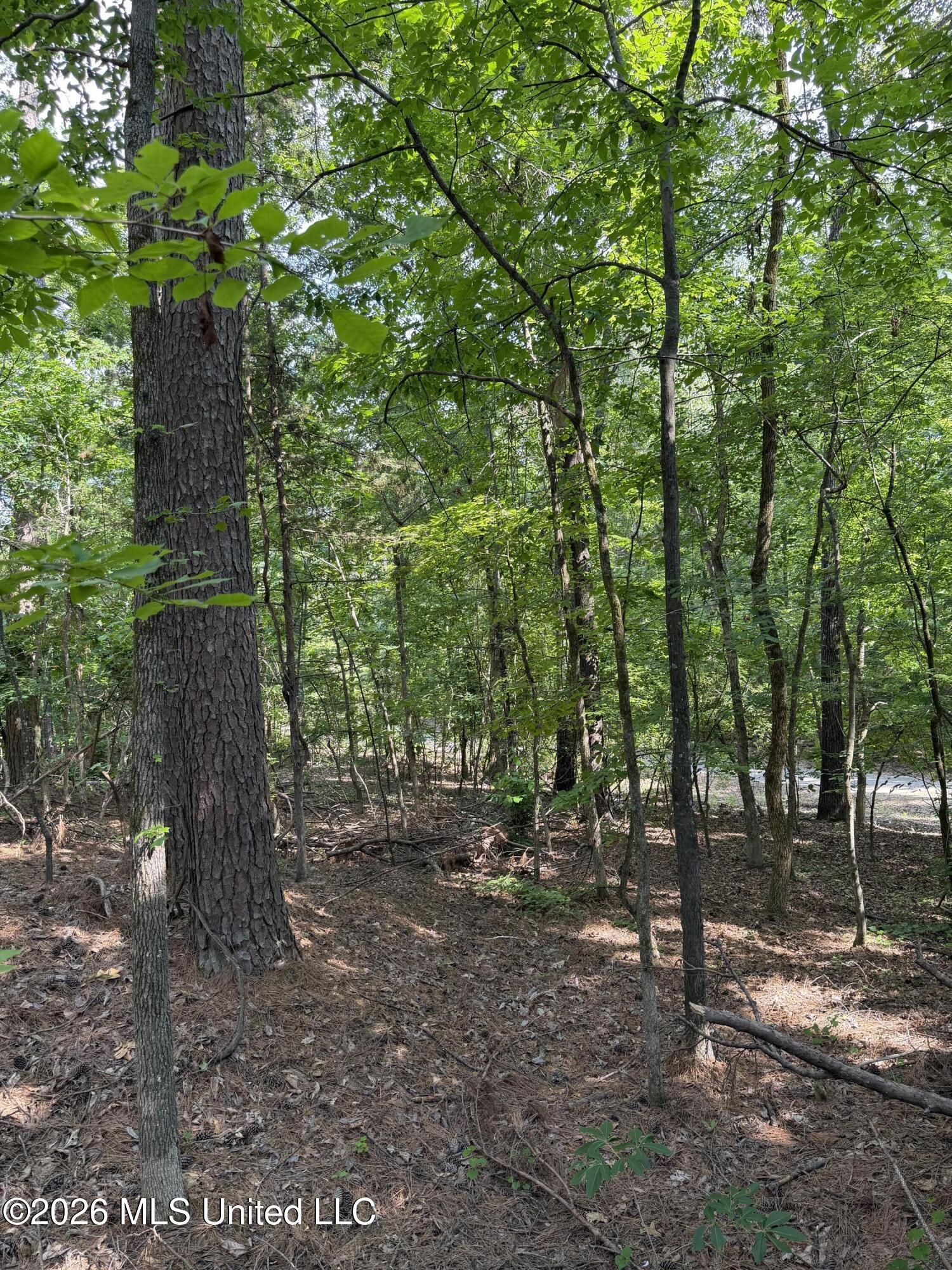 80 Co Rd 5009 Property Photo 10