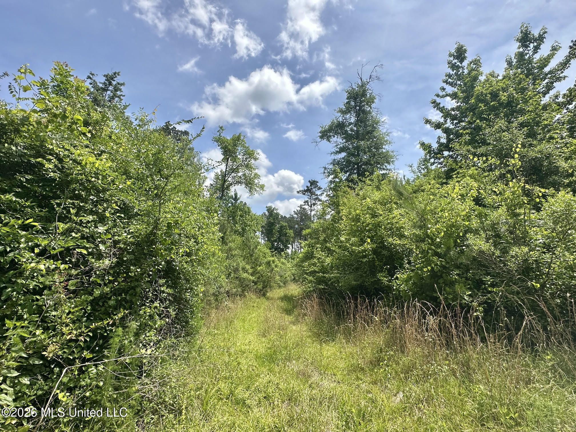 3 Highway 483 Property Photo 3