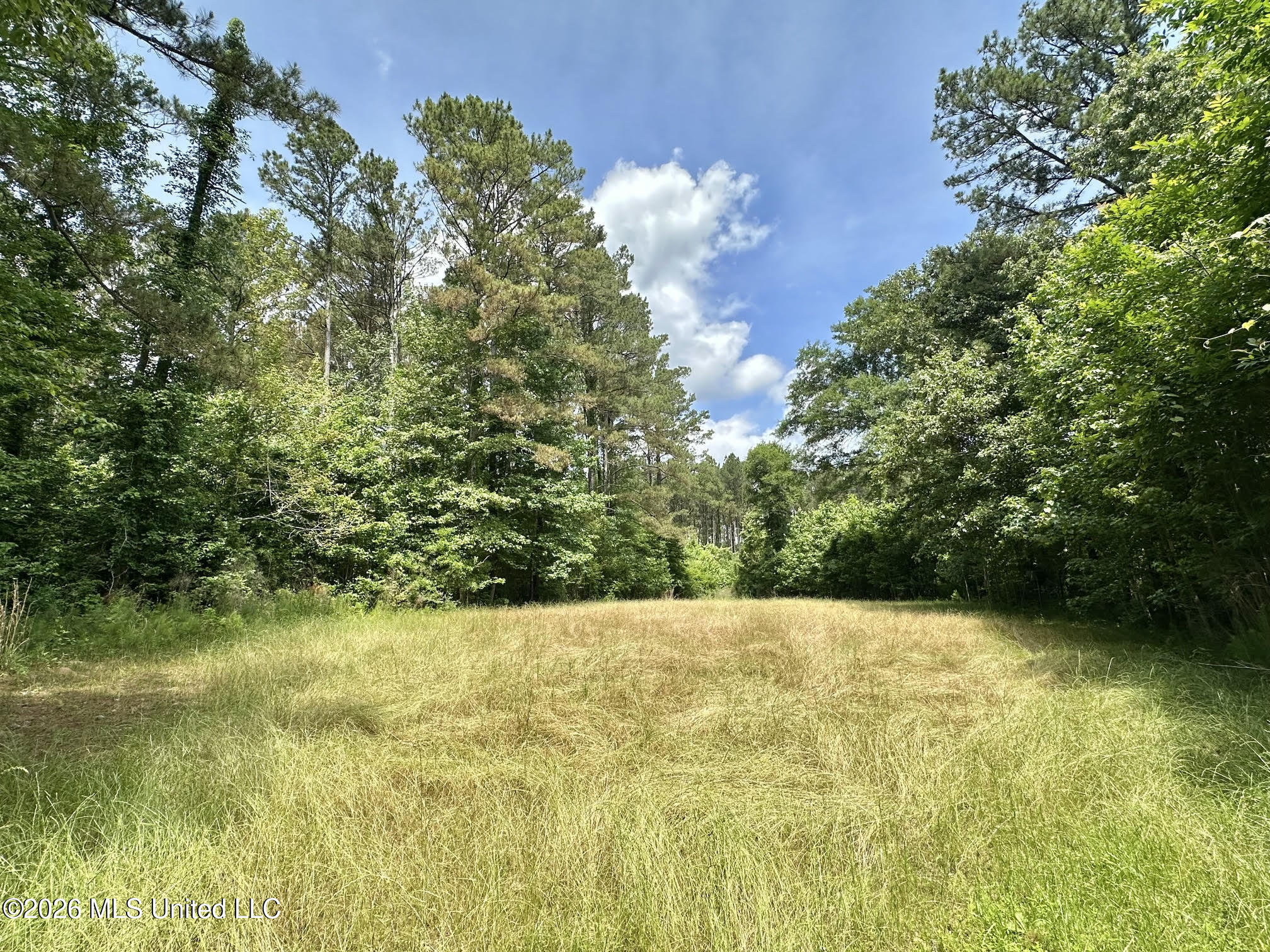 3 Highway 483 Property Photo 4