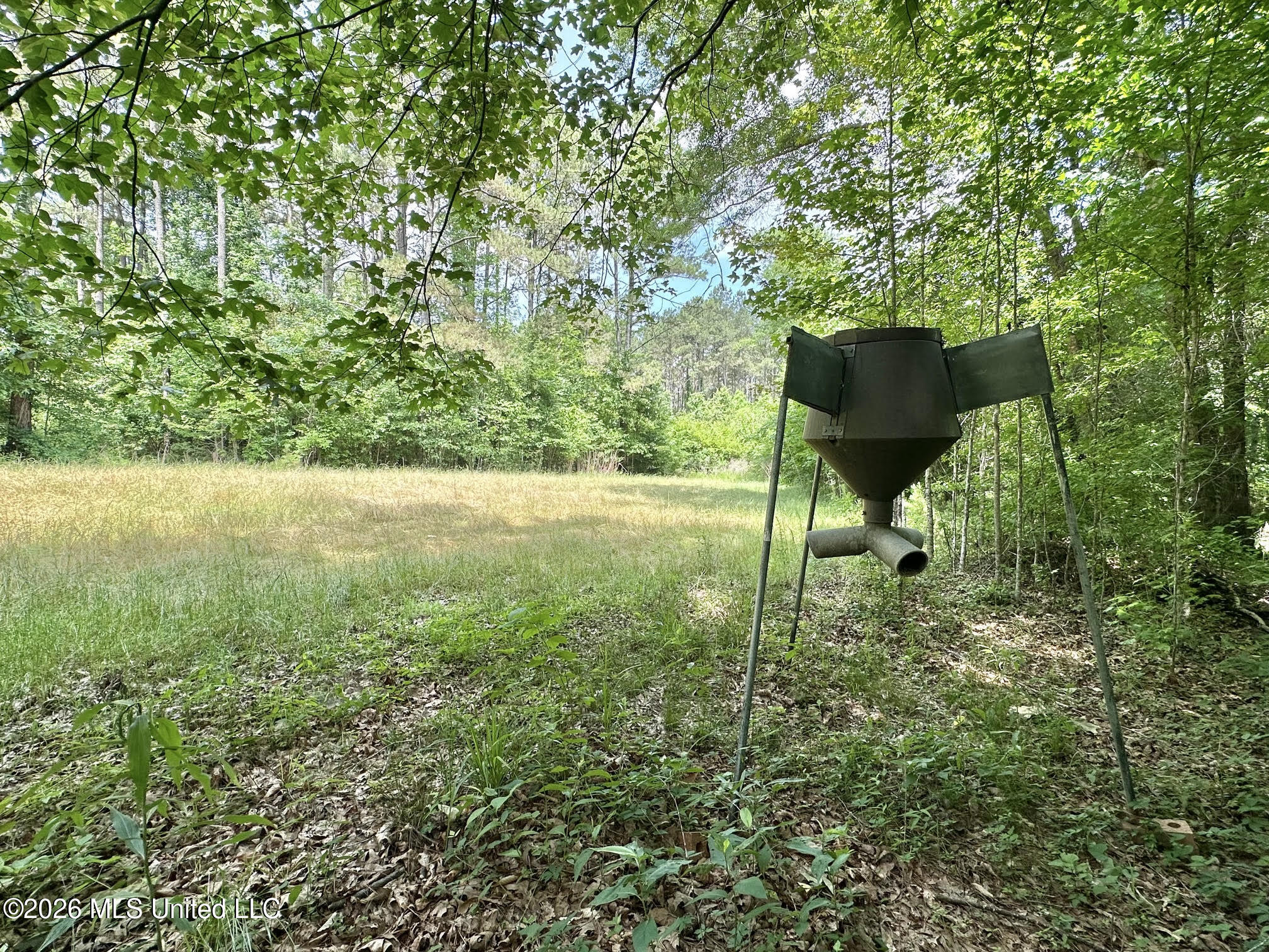 3 Highway 483 Property Photo 5