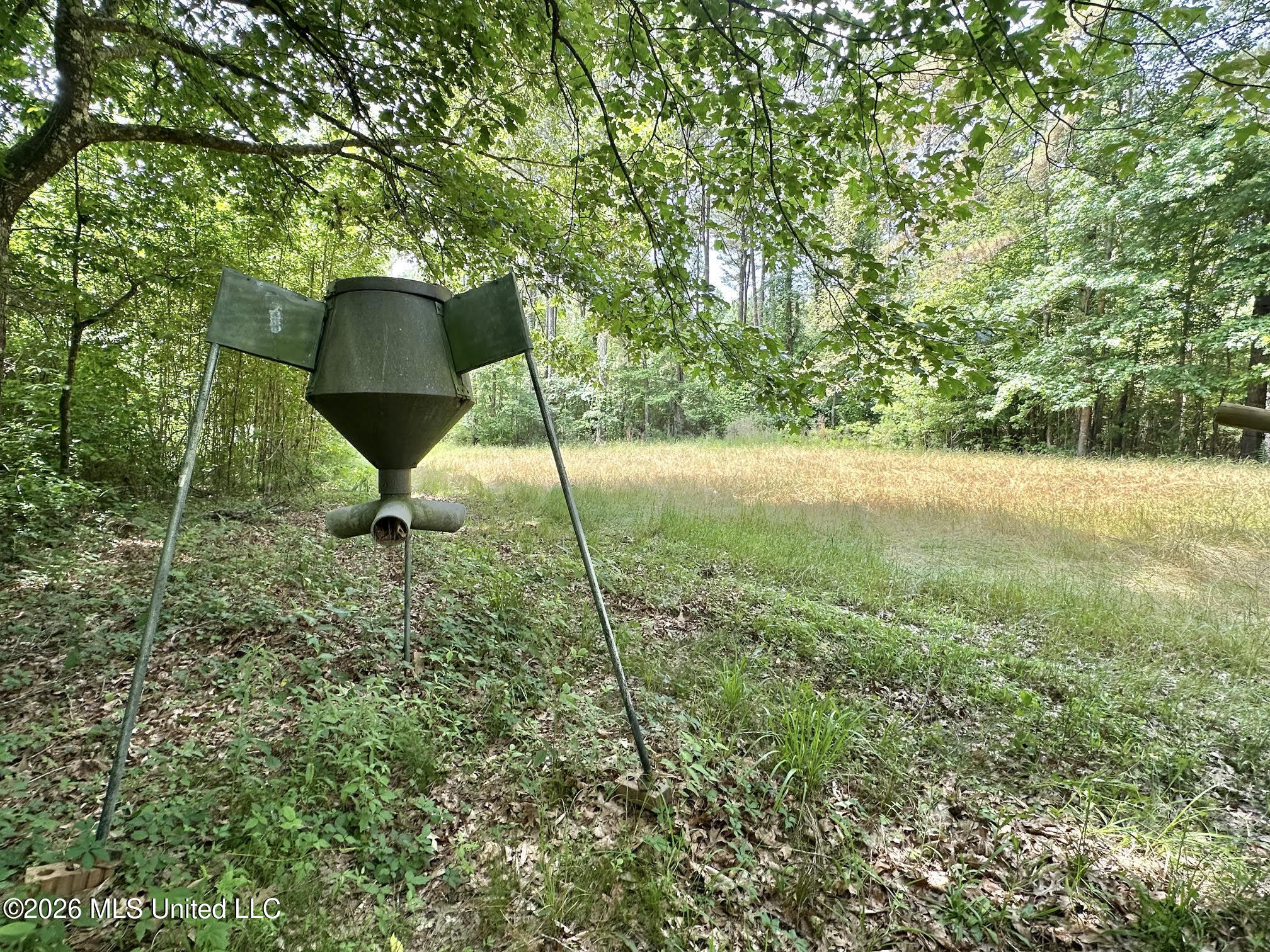 3 Highway 483 Property Photo 6