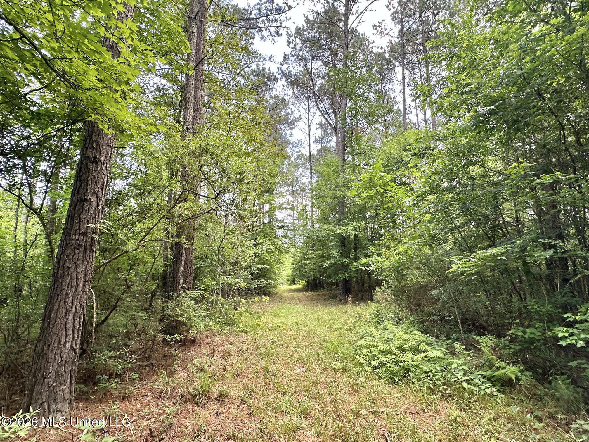 3 Highway 483 Property Photo 7