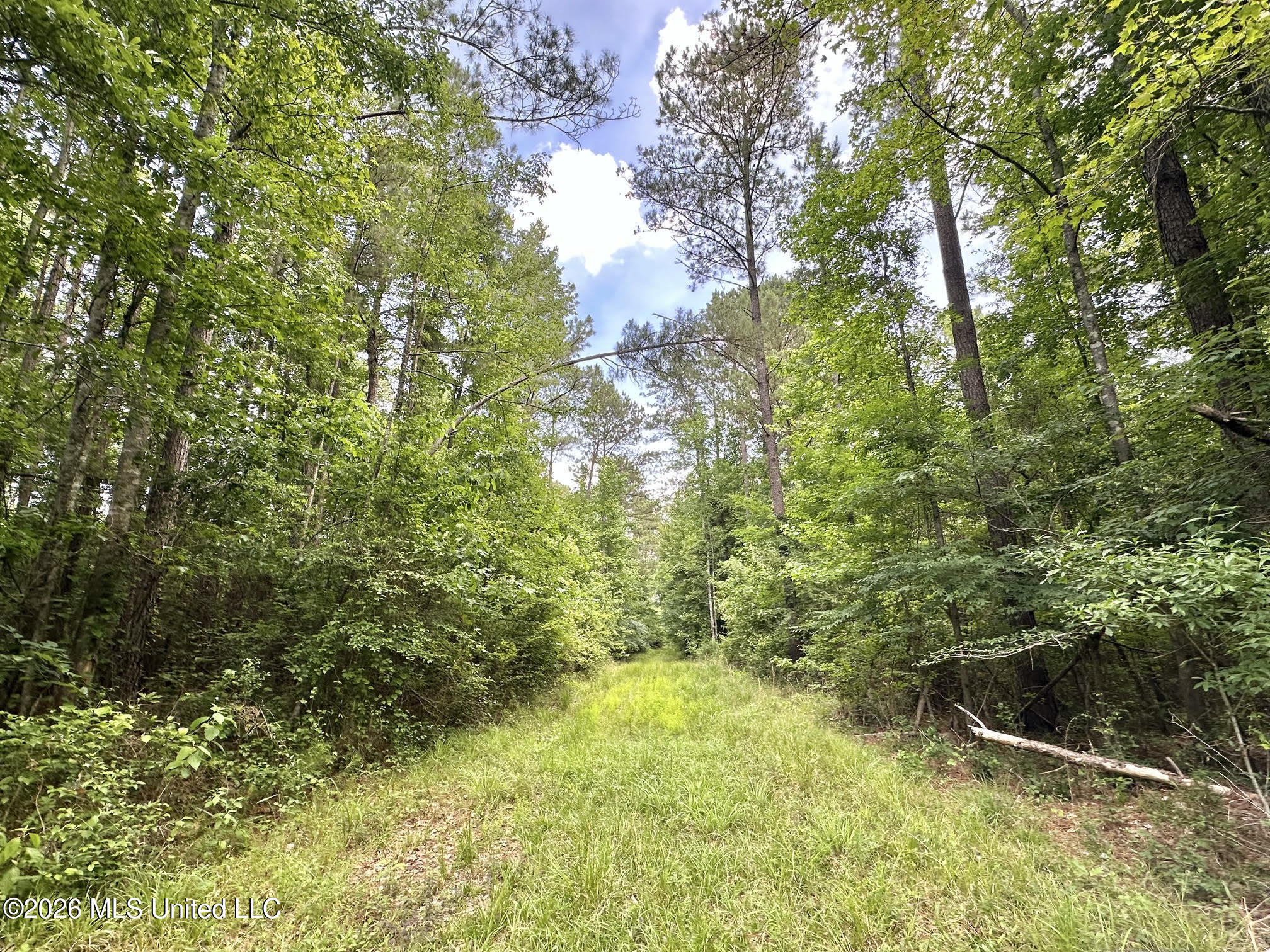 3 Highway 483 Property Photo 8