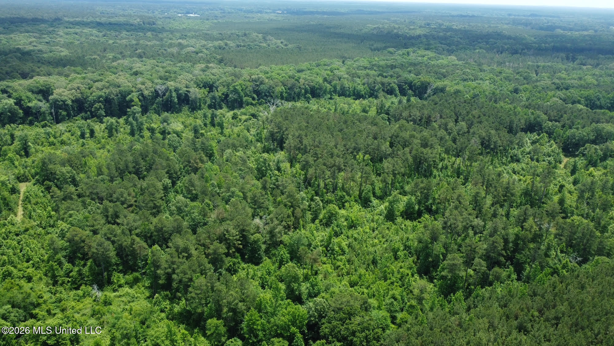 3 Highway 483 Property Photo 14