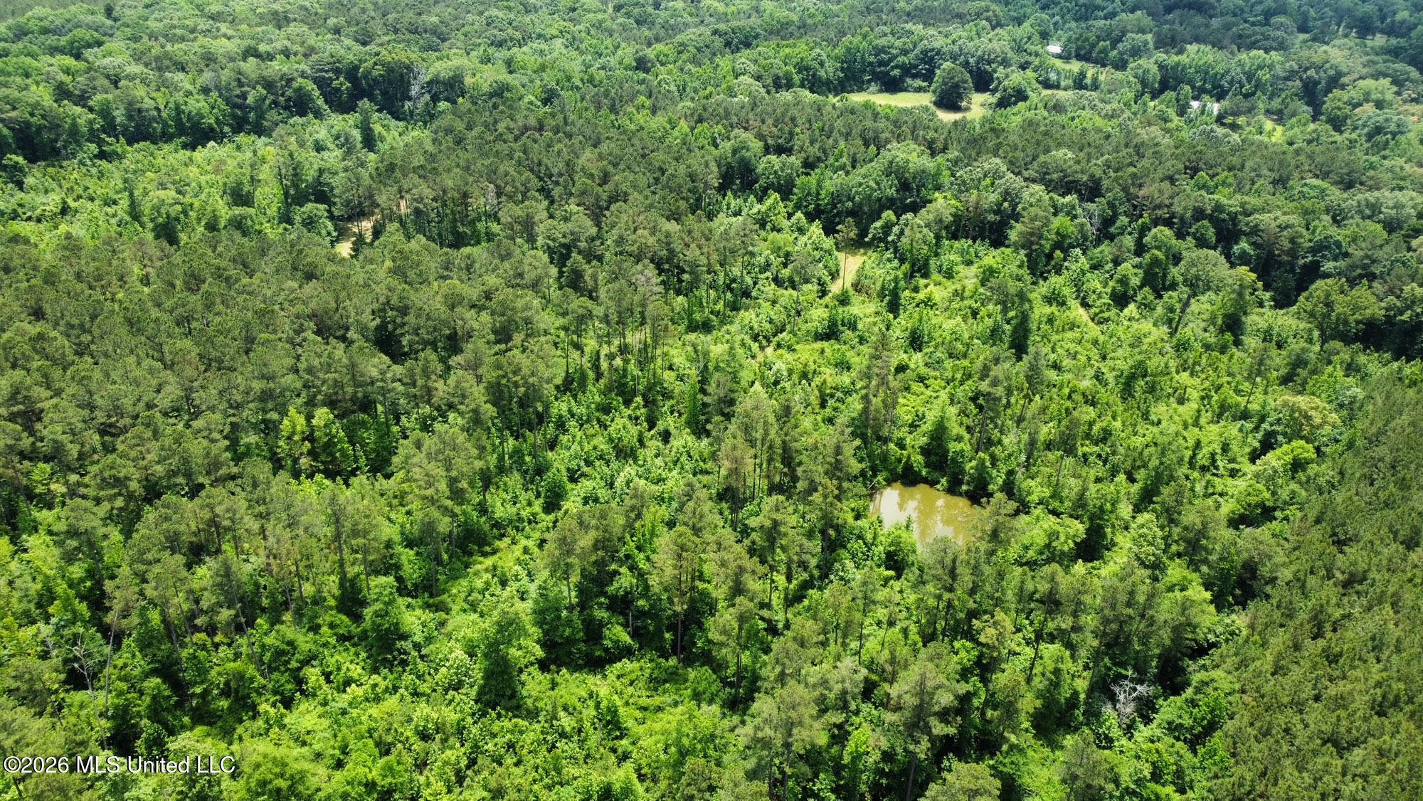3 Highway 483 Property Photo 18