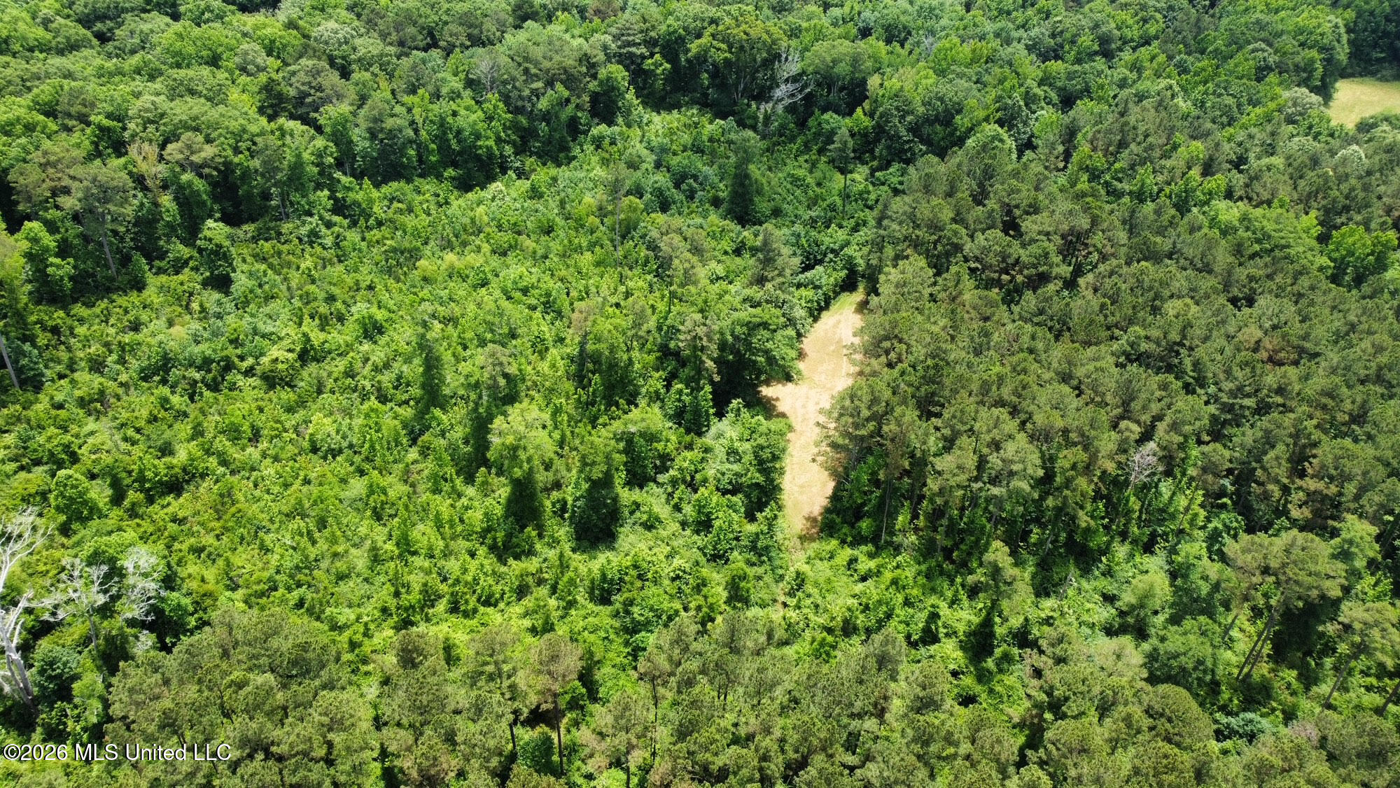 3 Highway 483 Property Photo 19