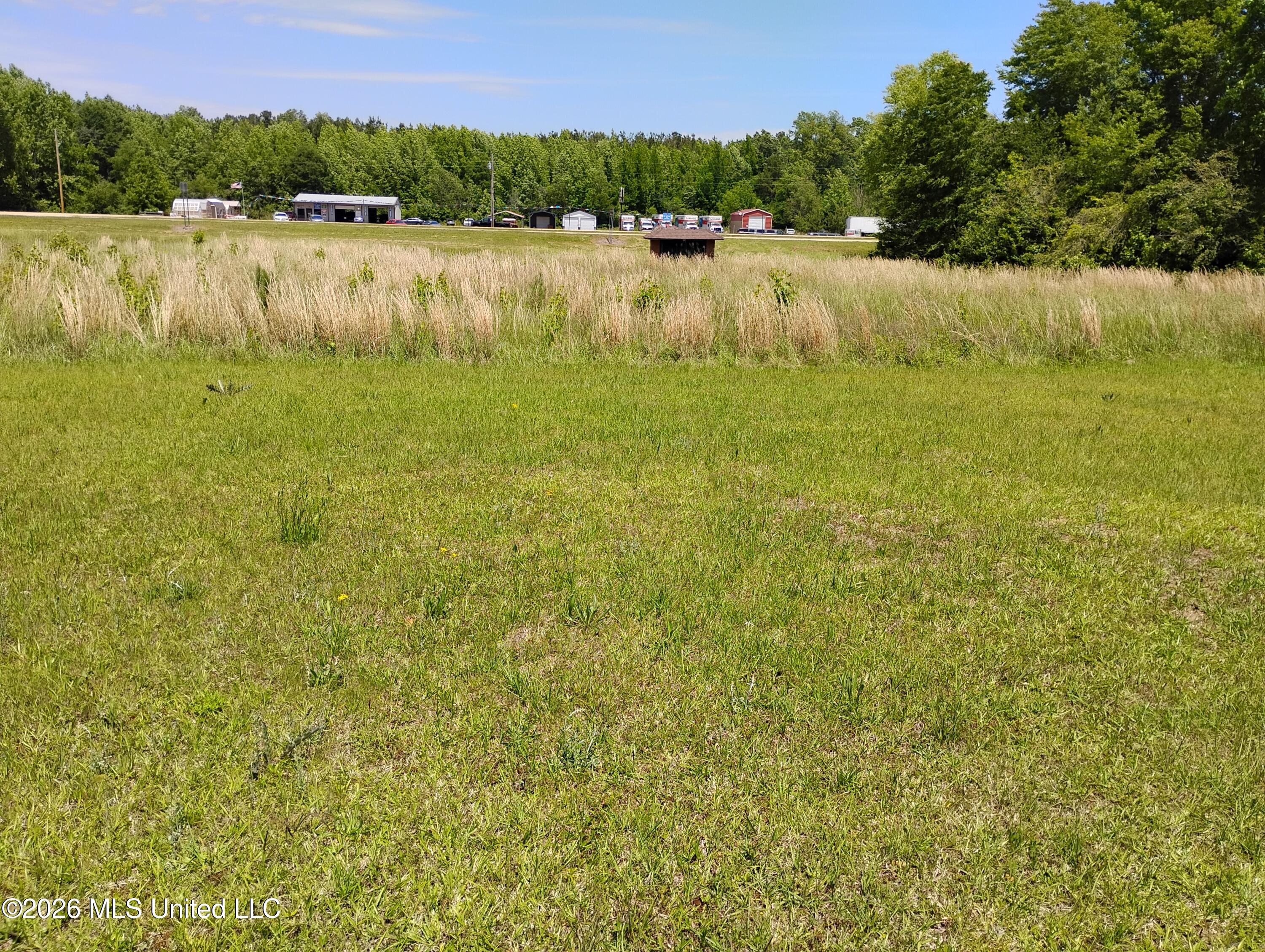 155 Co Rd 180 Property Photo 12