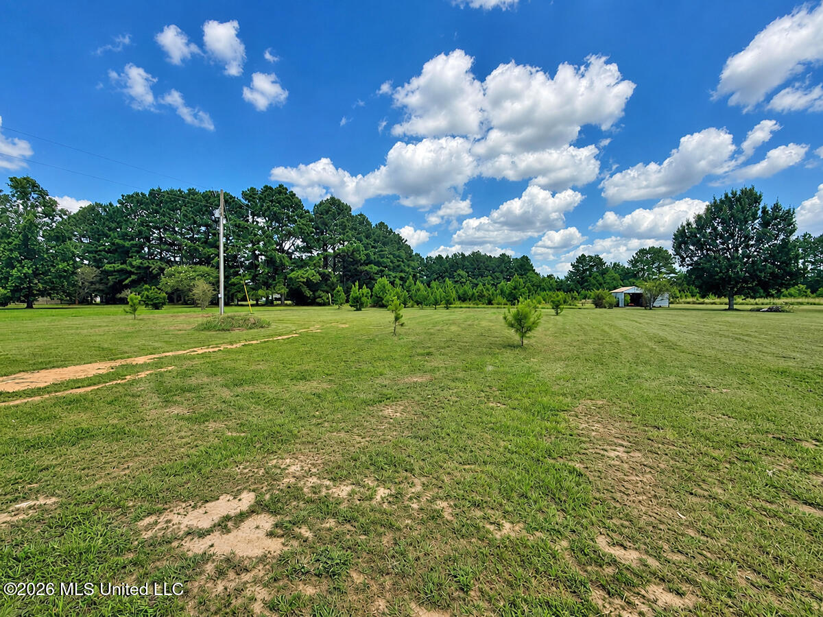 1113 Holland Road Property Photo 25