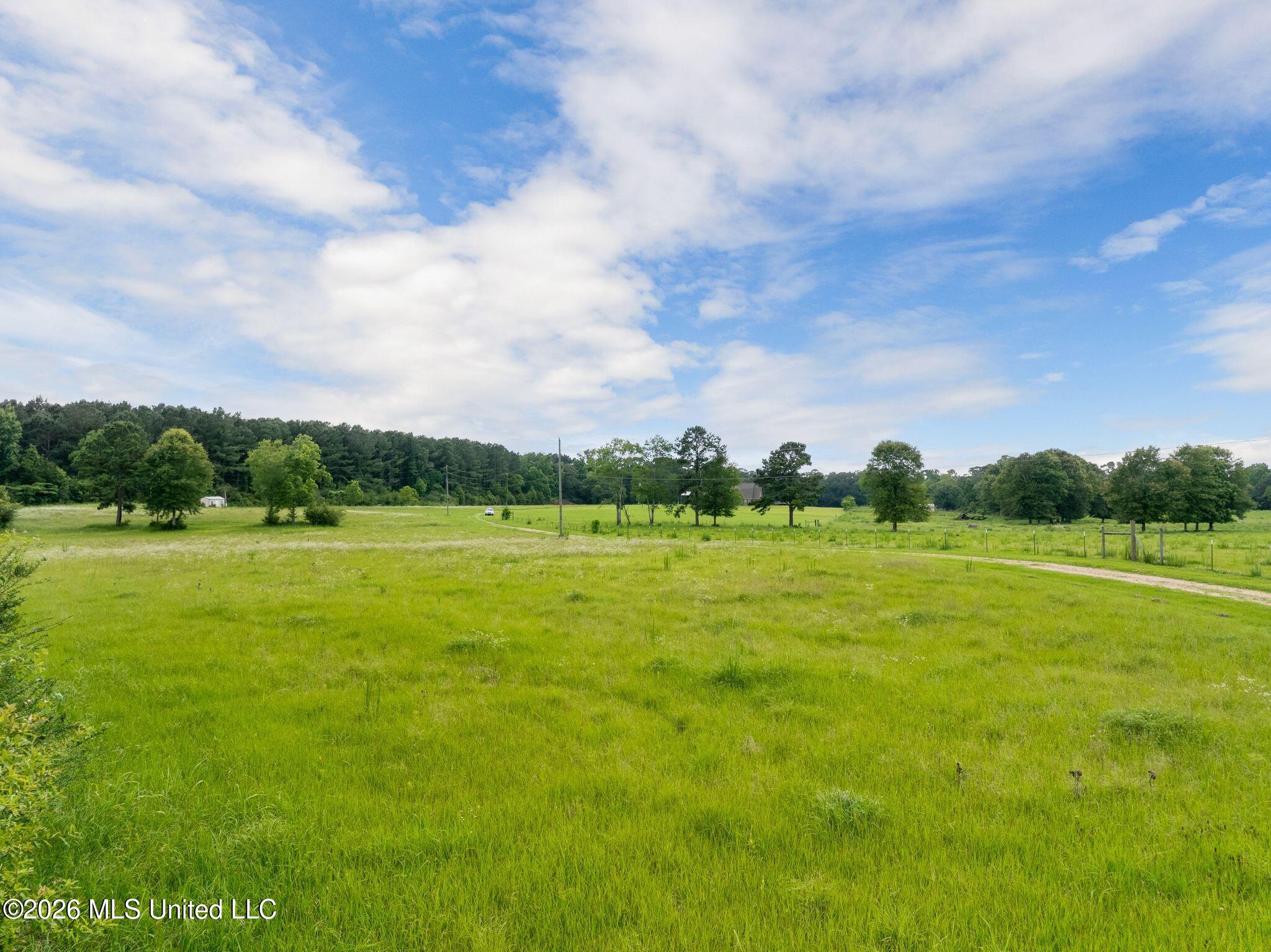1079 Mount Herman Road Property Photo 52