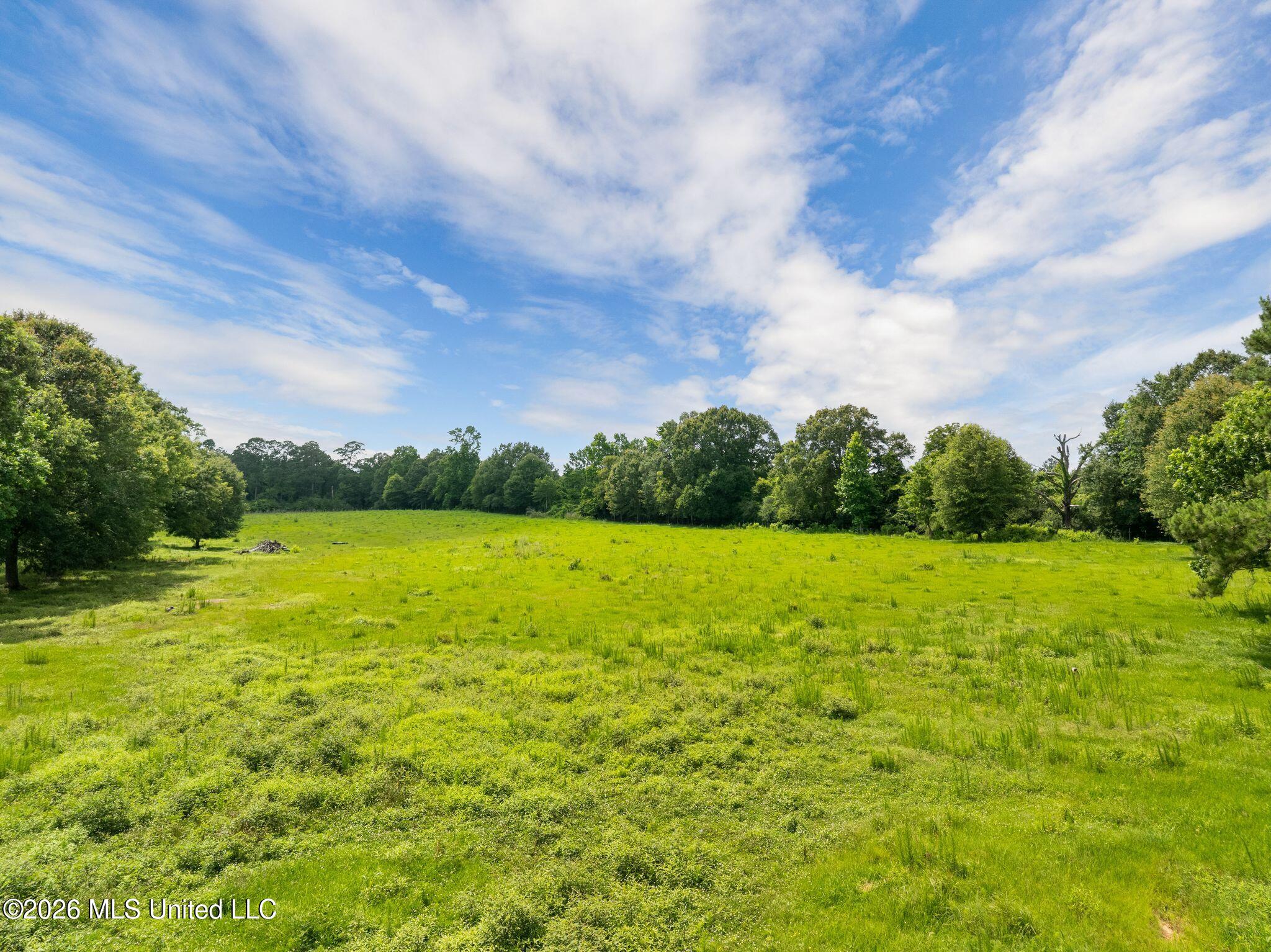 1079 Mount Herman Road Property Photo 56