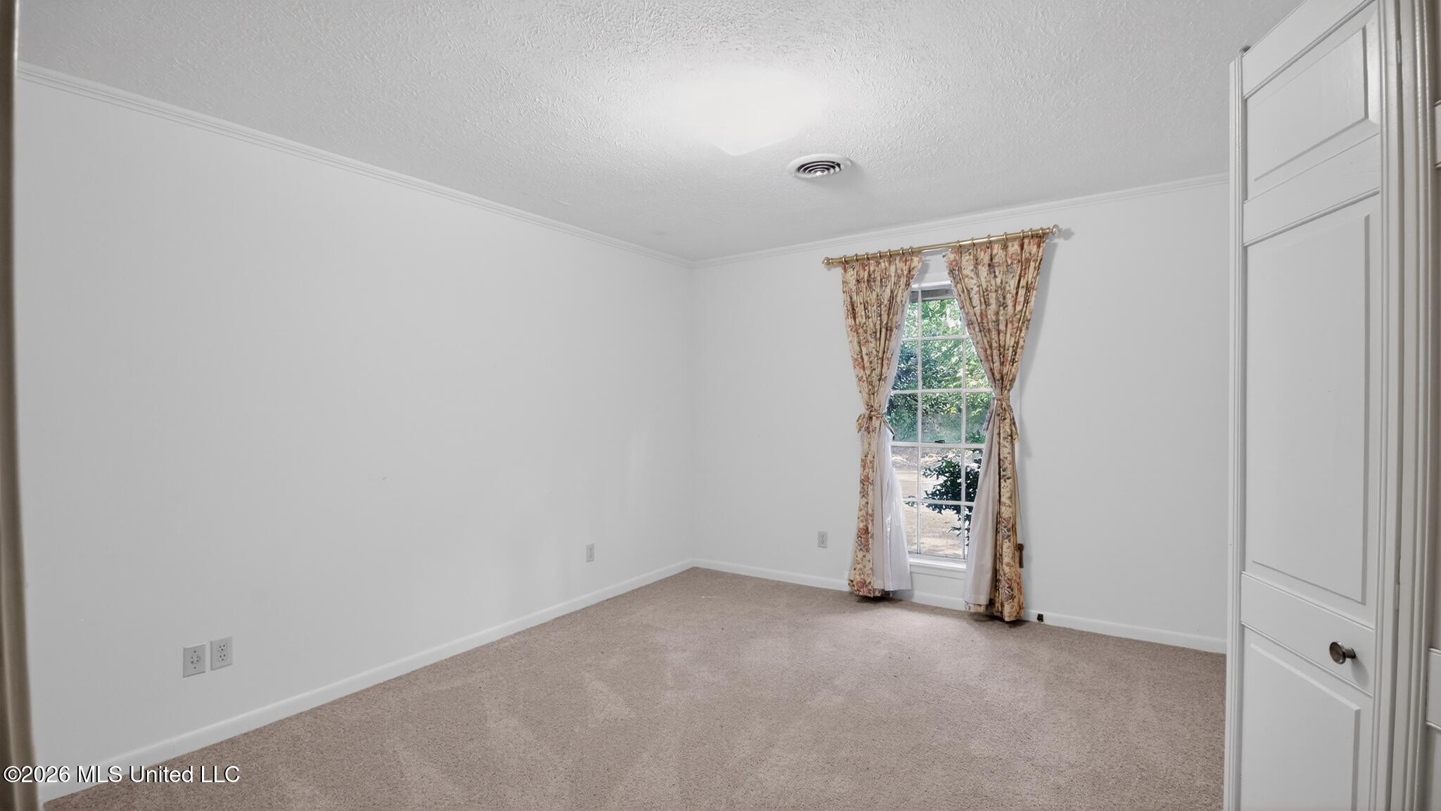 1000 Pine Land Drive Property Photo 6