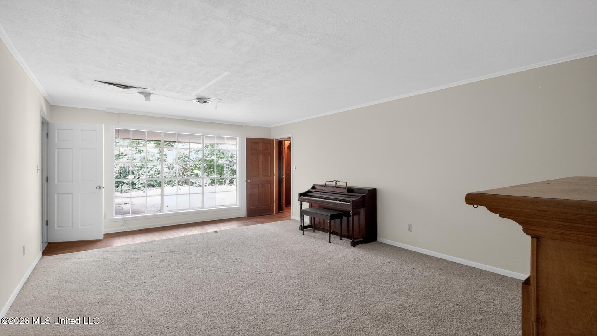1000 Pine Land Drive Property Photo 7