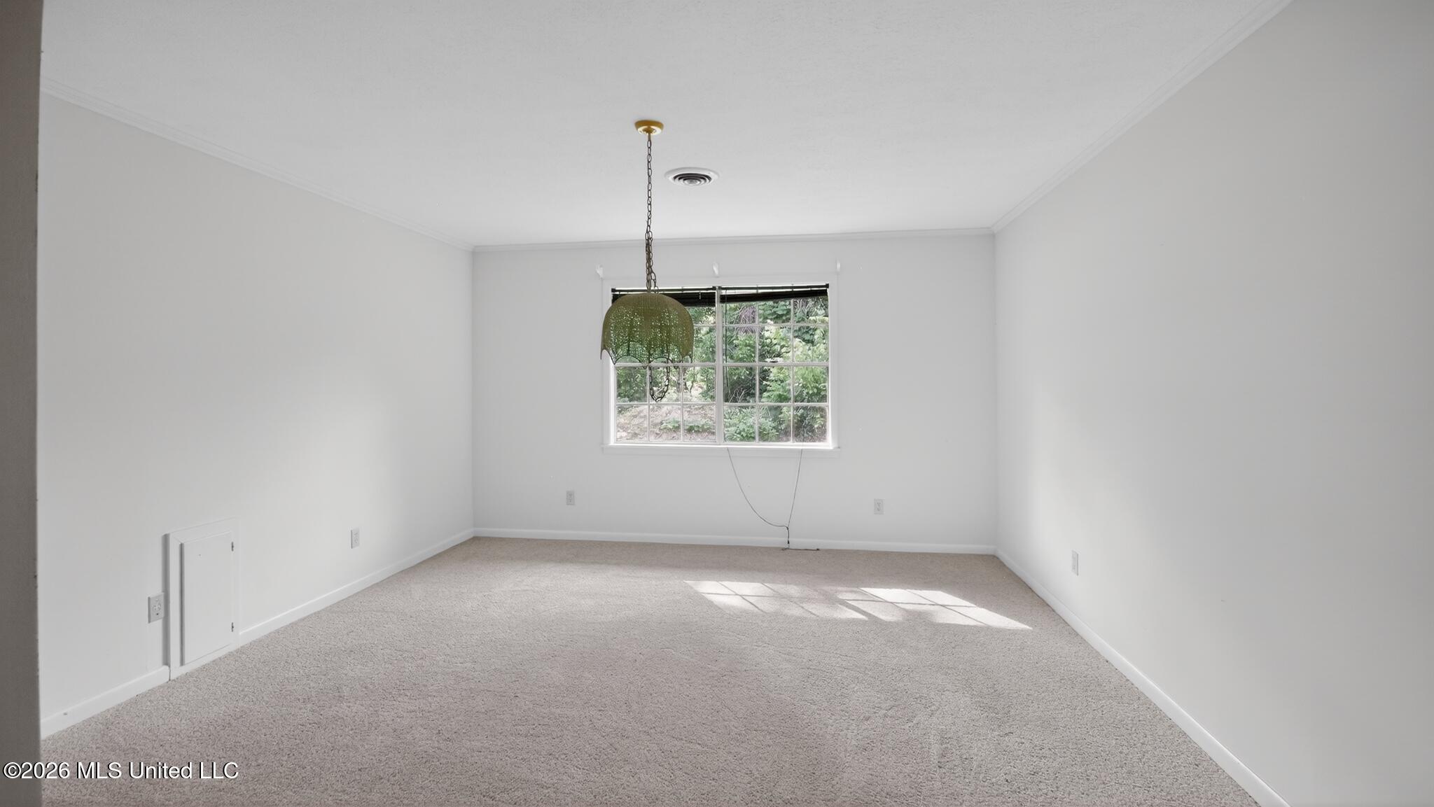 1000 Pine Land Drive Property Photo 11