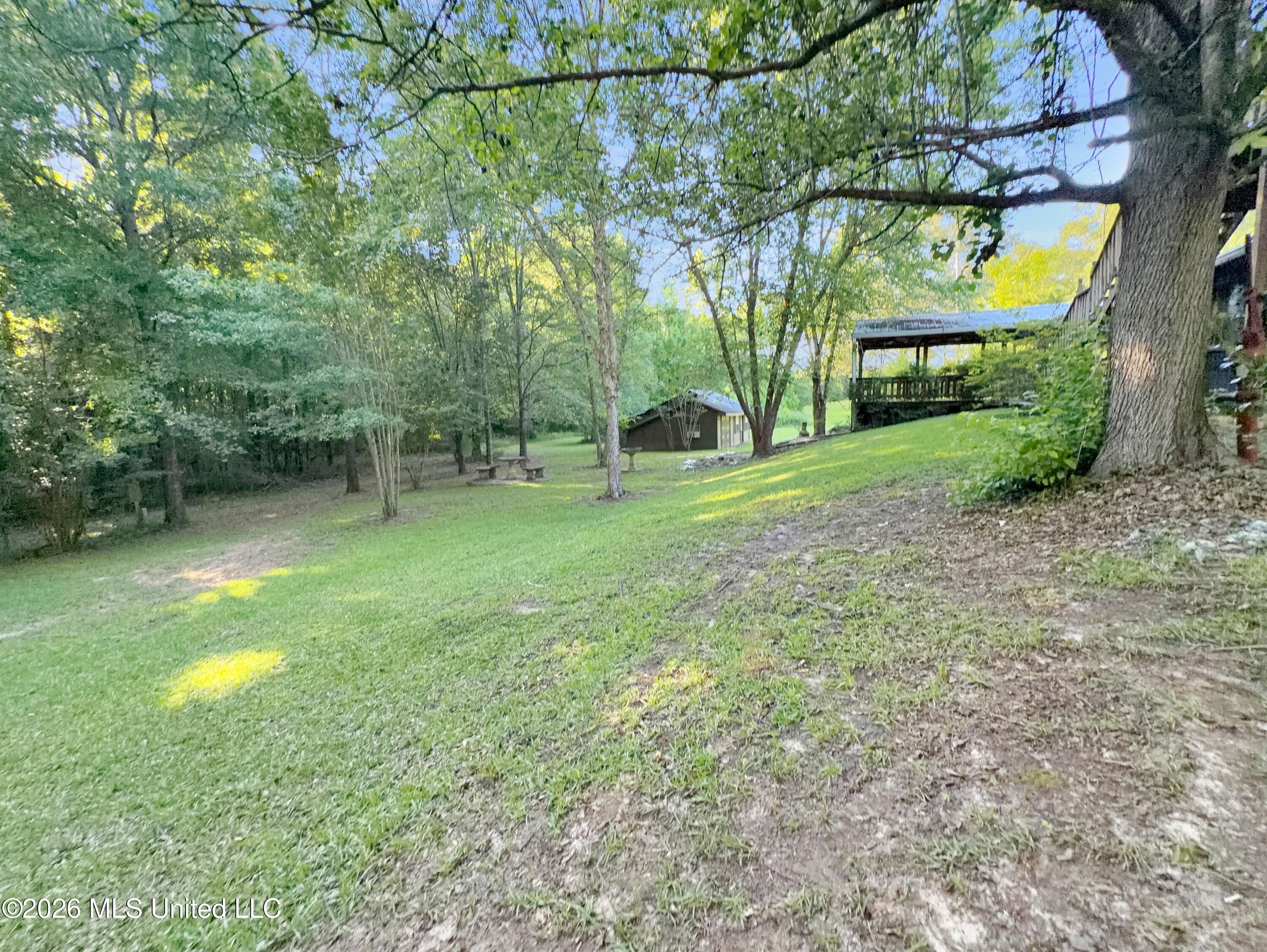 243 Massey Circle Property Photo 4