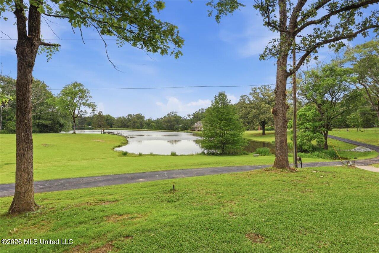 1521 Lake Mimosa Drive Property Photo 45