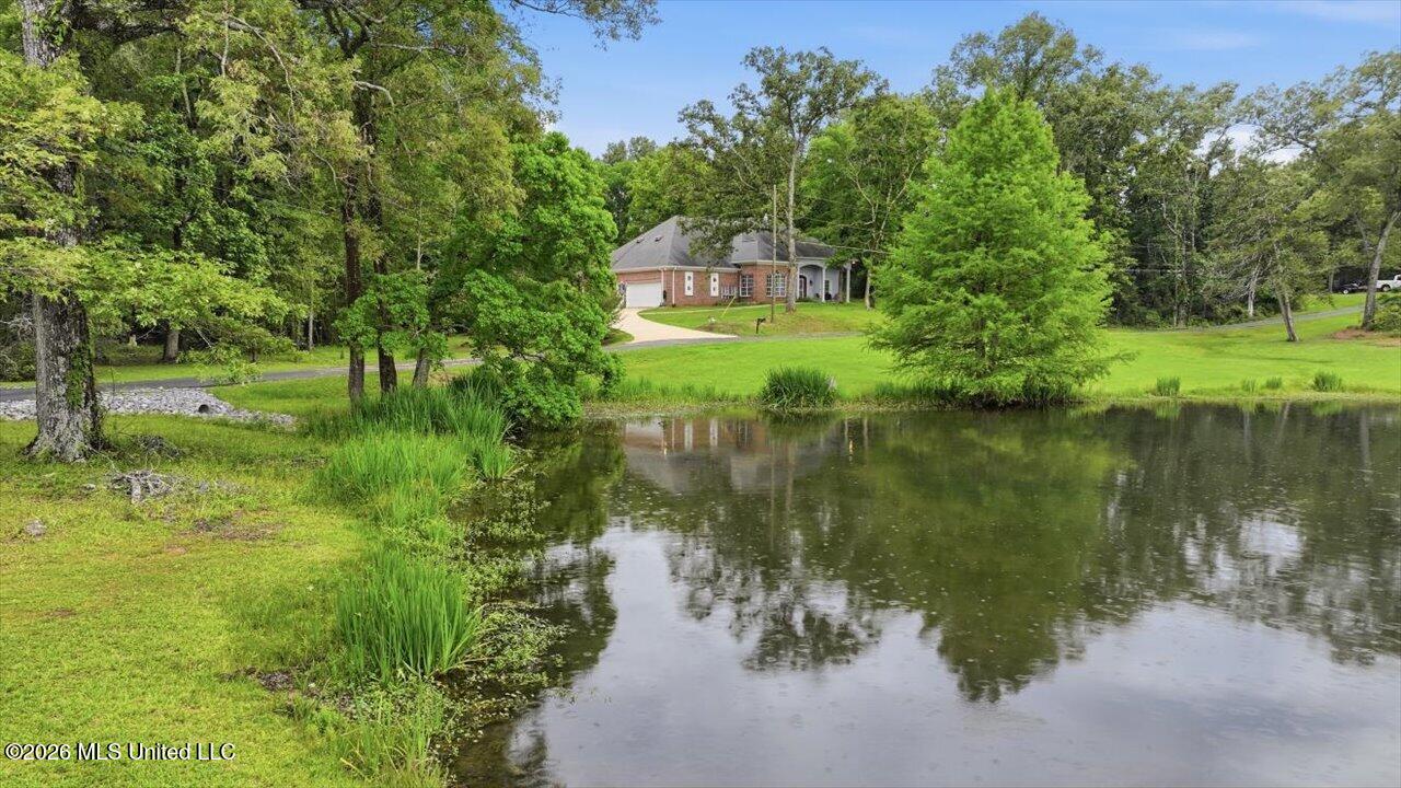 1521 Lake Mimosa Drive Property Photo 60