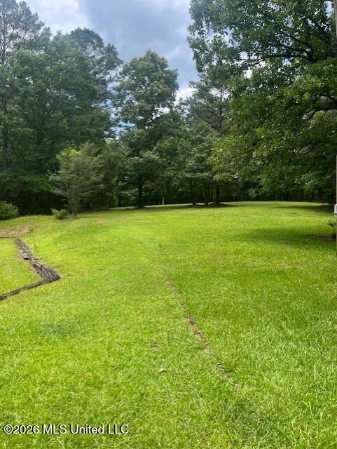 1177 David Benjamin Drive Property Photo 10