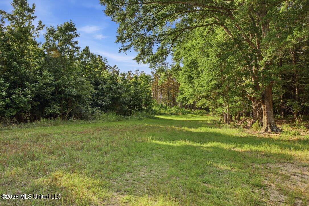 425 Rose Hill Road Property Photo 43