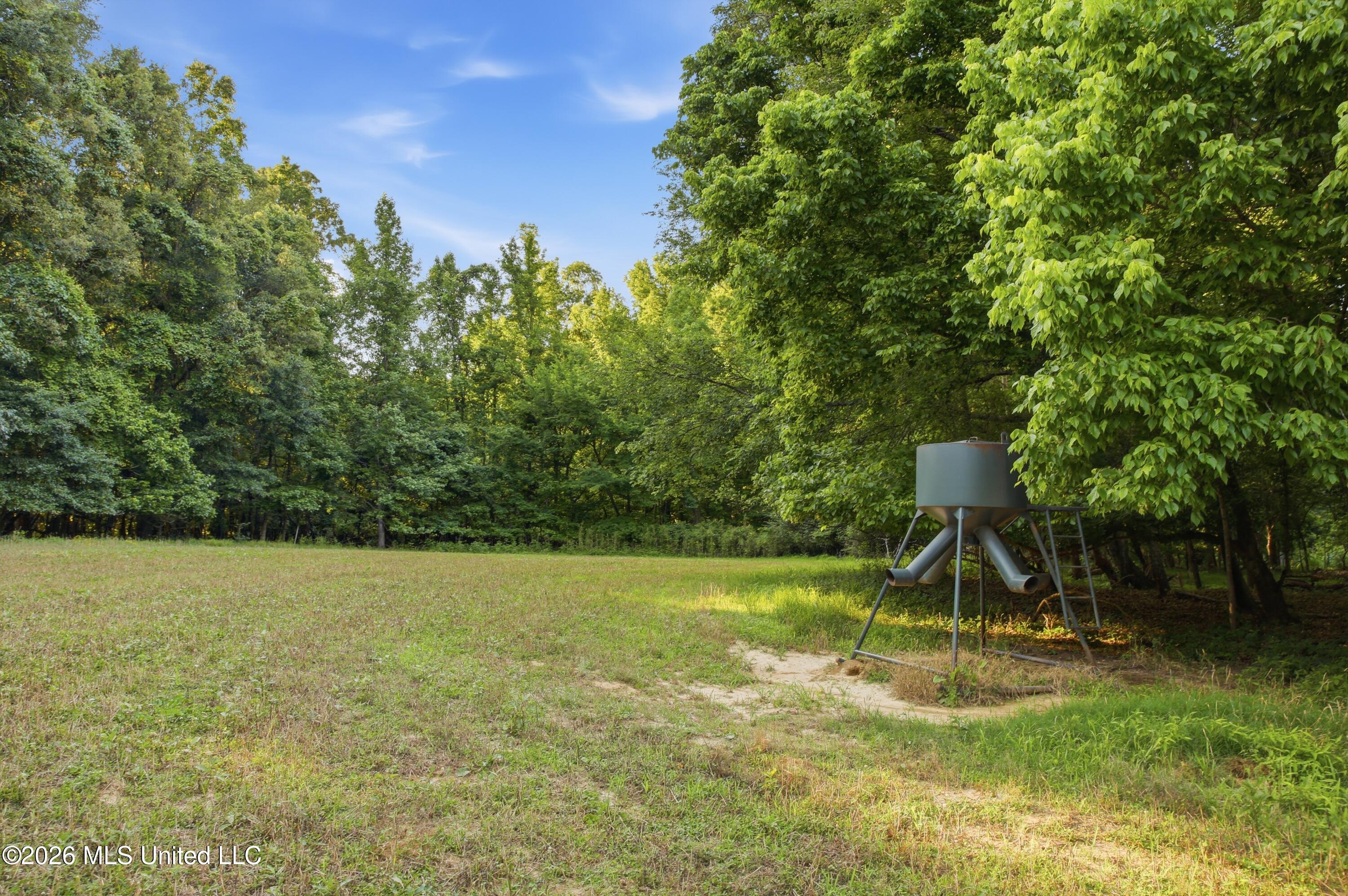 425 Rose Hill Road Property Photo 60