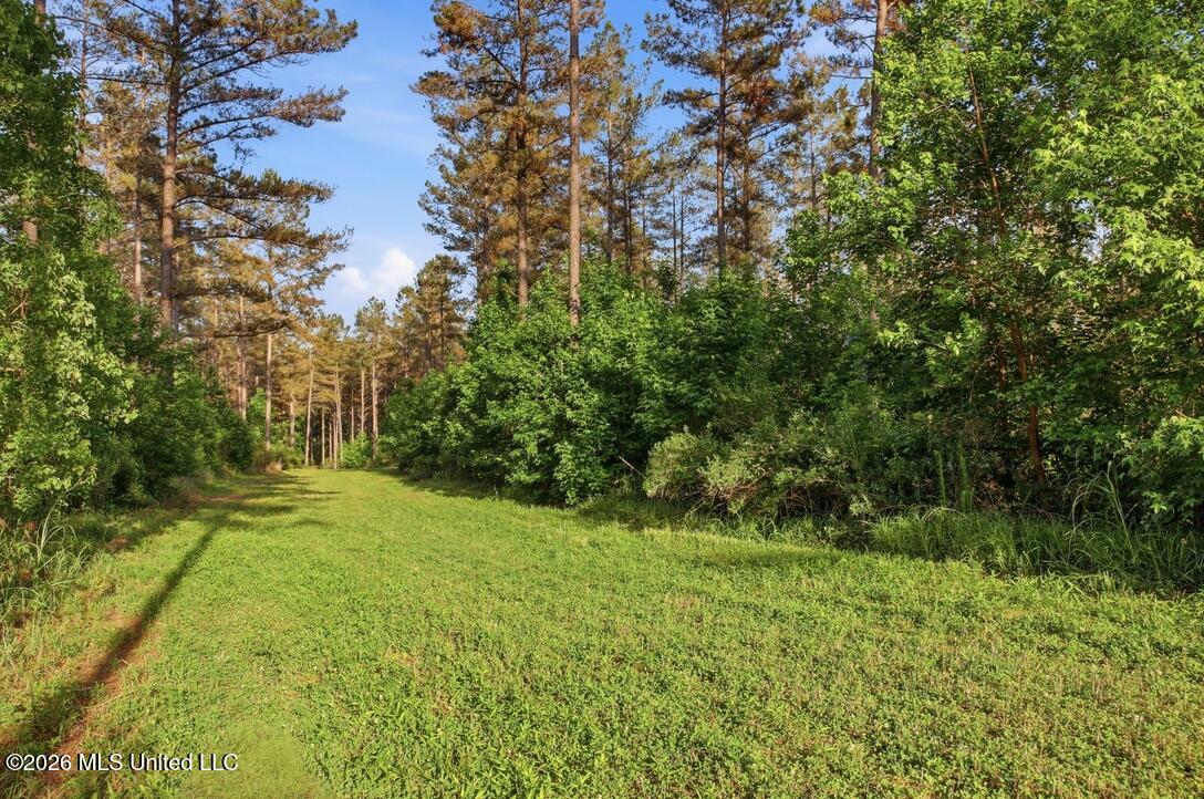 425 Rose Hill Road Property Photo 62