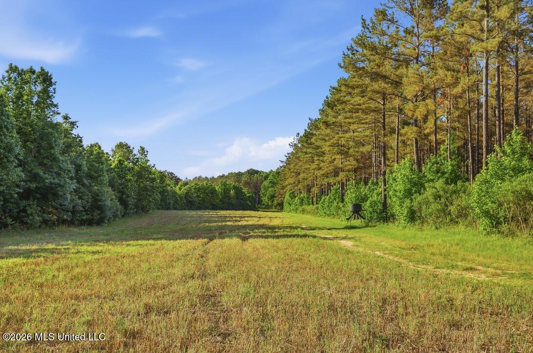 425 Rose Hill Road Property Photo 66