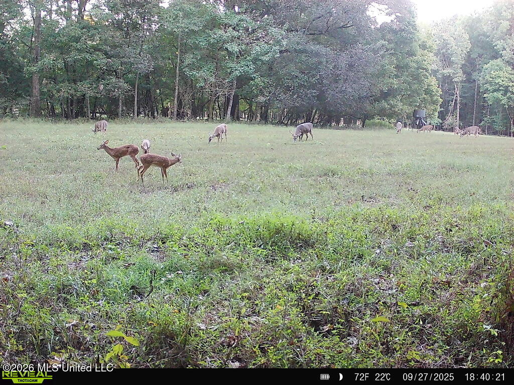 425 Rose Hill Road Property Photo 96