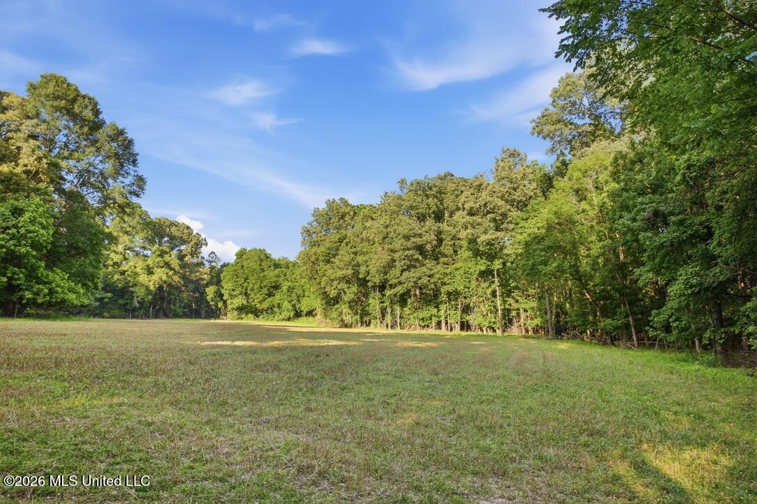 425 Rose Hill Road Property Photo 131