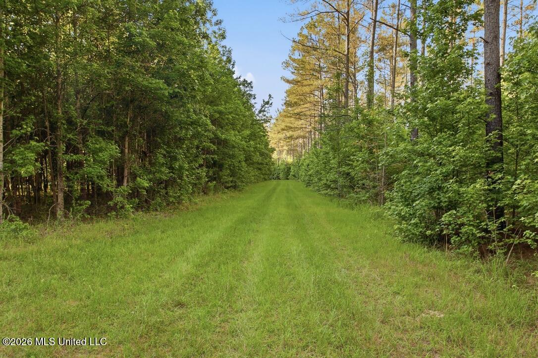 425 Rose Hill Road Property Photo 140