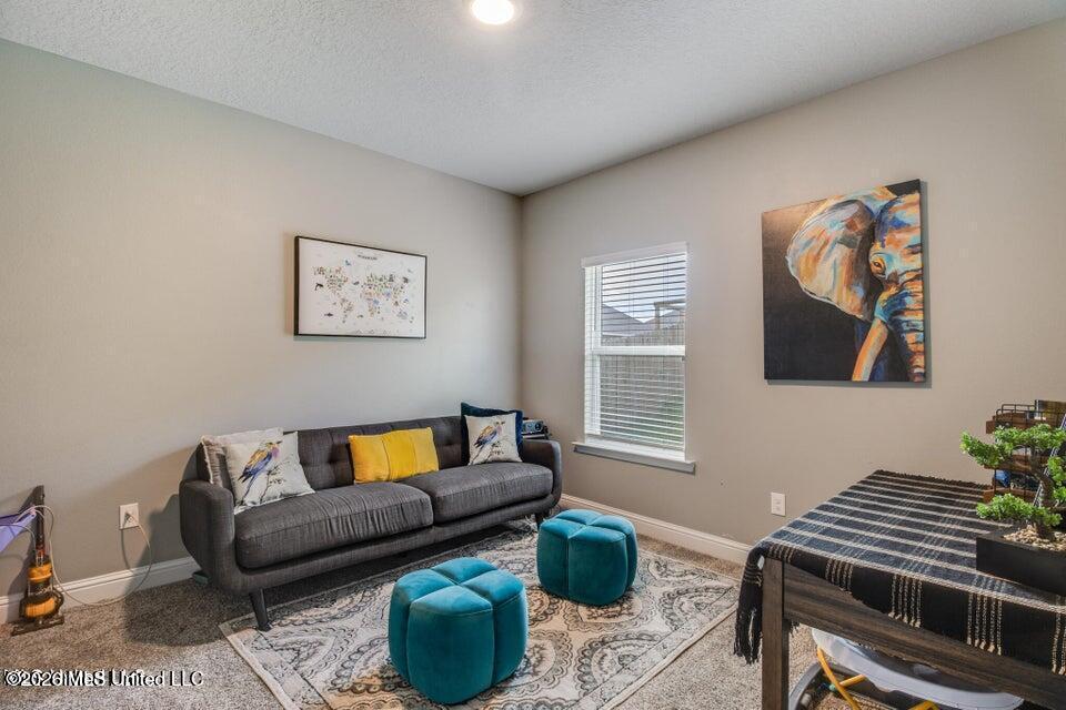 5126 Fairbury Way Property Photo 12