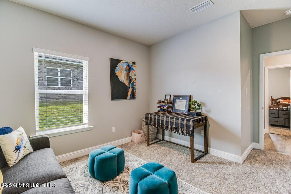 5126 Fairbury Way Property Photo 13