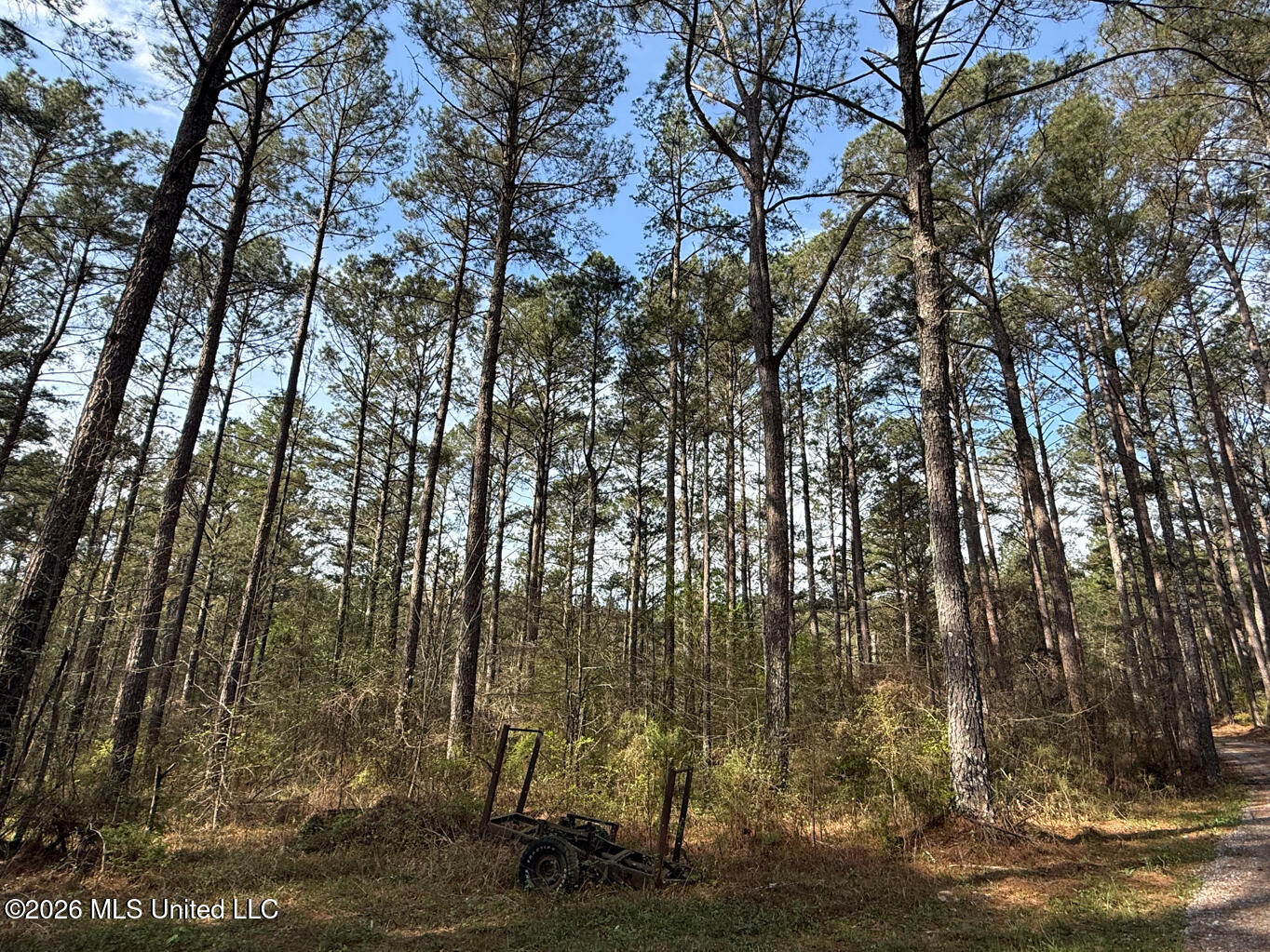 2893 Truesdale Road Property Photo 6