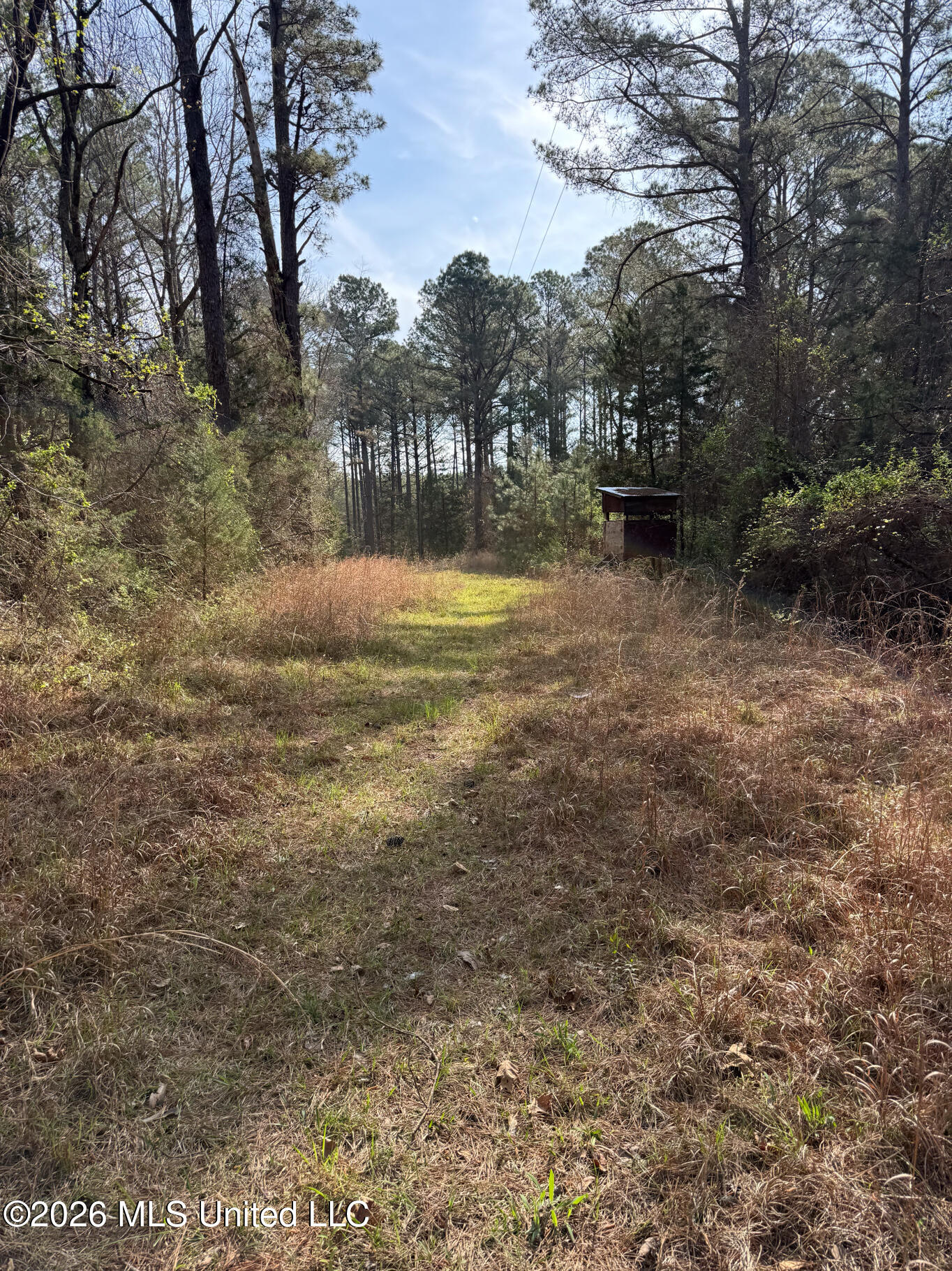 2893 Truesdale Road Property Photo 17