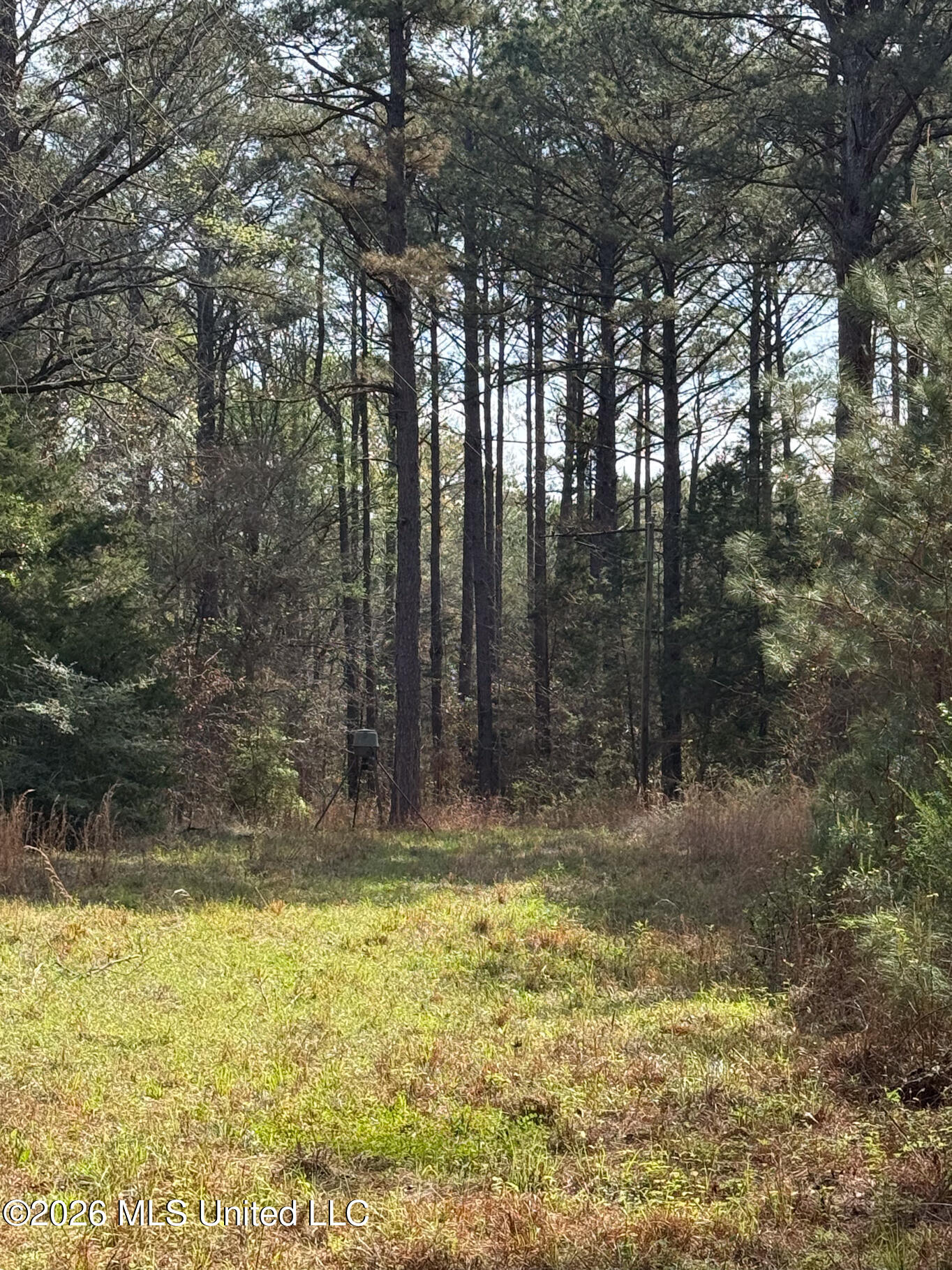 2893 Truesdale Road Property Photo 21